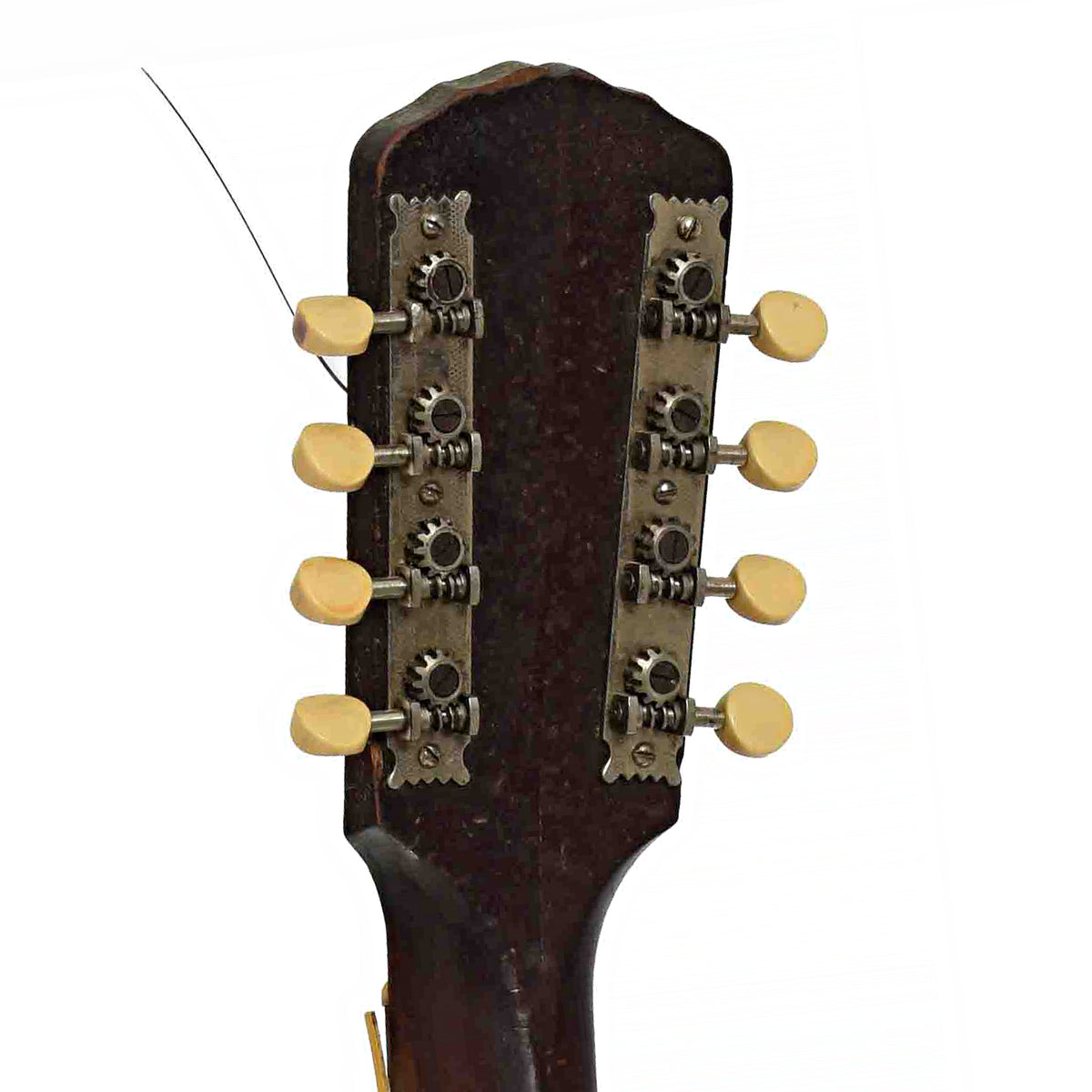 Tuners of K-1 Mandocello