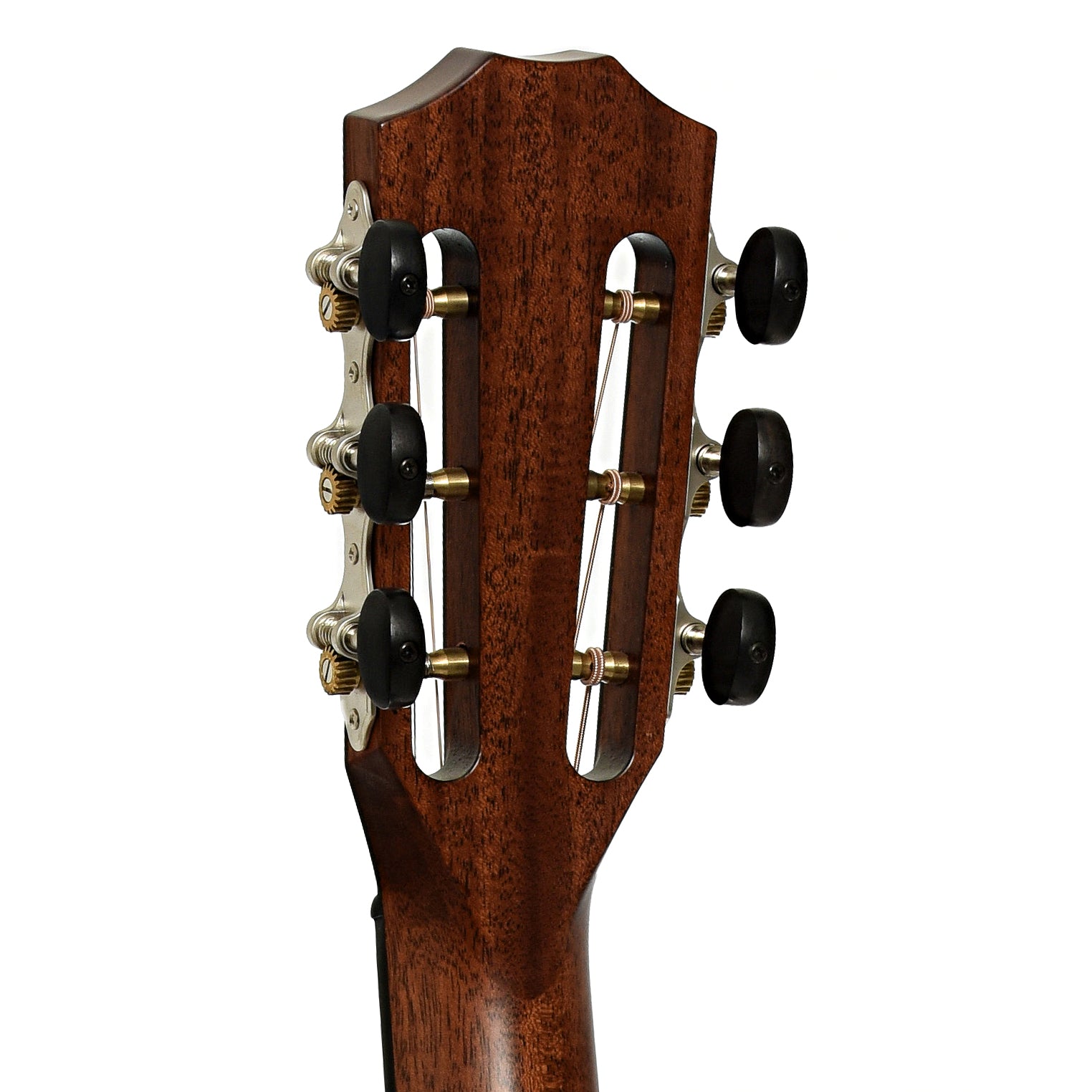 Tuners of Taylor 312ce 12-Fret Acoustic-Electric Guitar