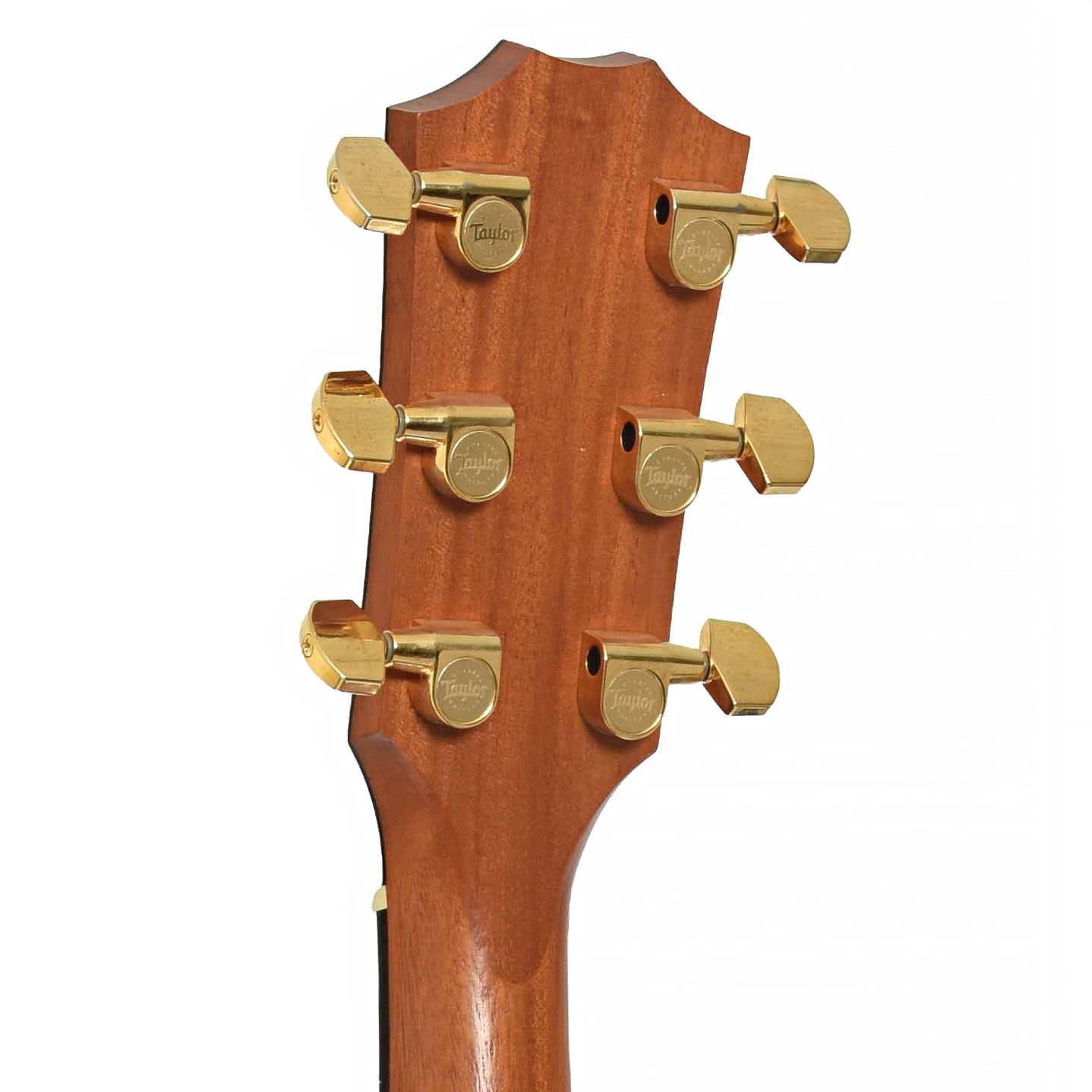 Back and side of Taylor 214CE Deluxe Acoustic-Electric Guitar