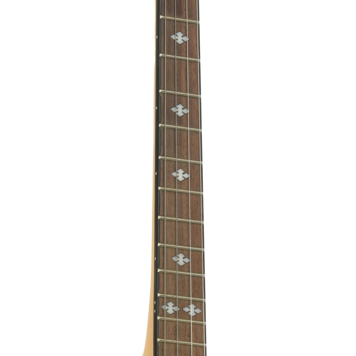 Fretboard of Gold Tone CC-IT Cripple Creek Irish Tenor Banjo