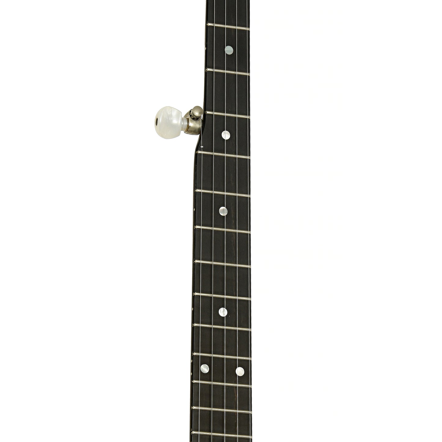 Fretboard of Deering Sierra Resonator Banjo