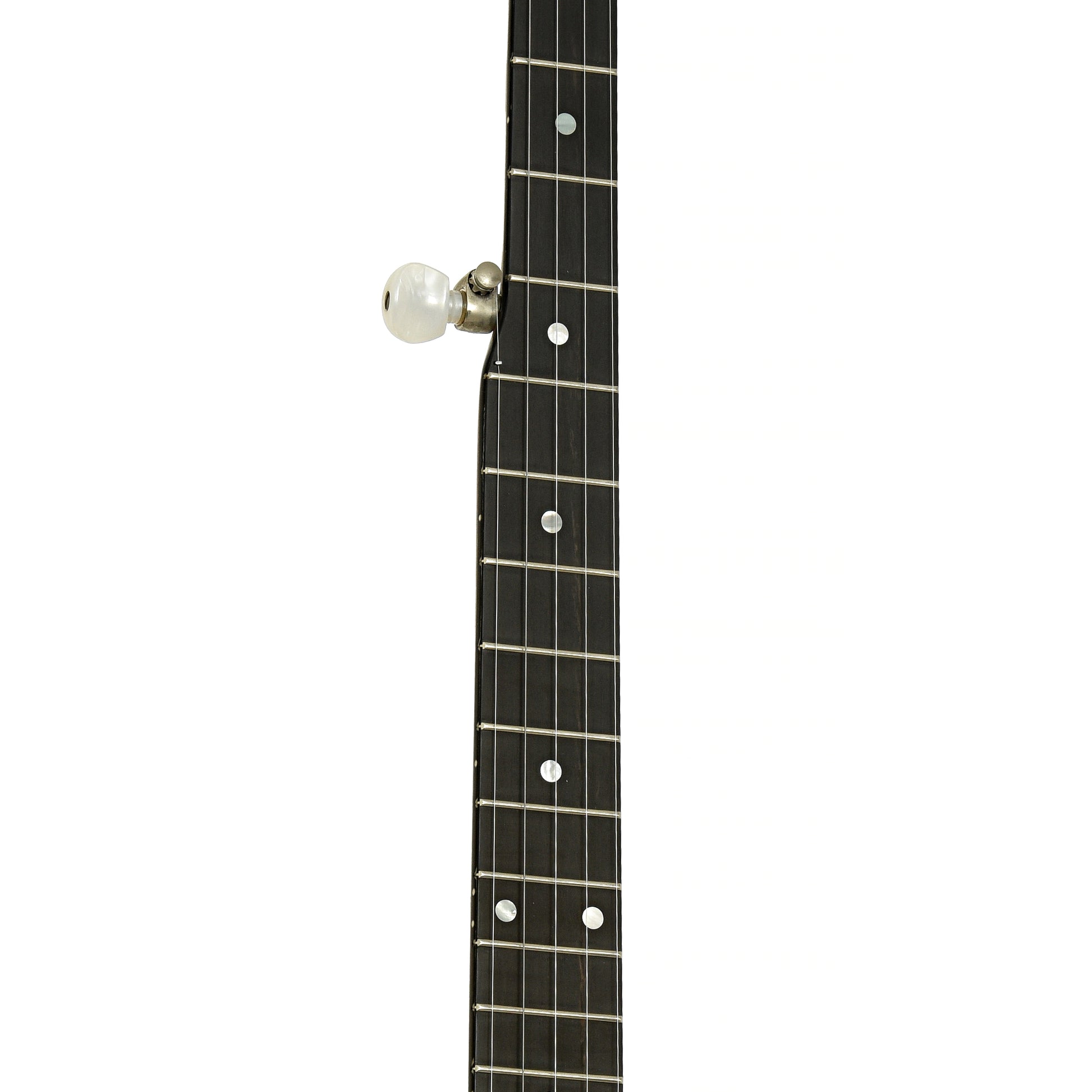 Fretboard of Deering Sierra Resonator Banjo