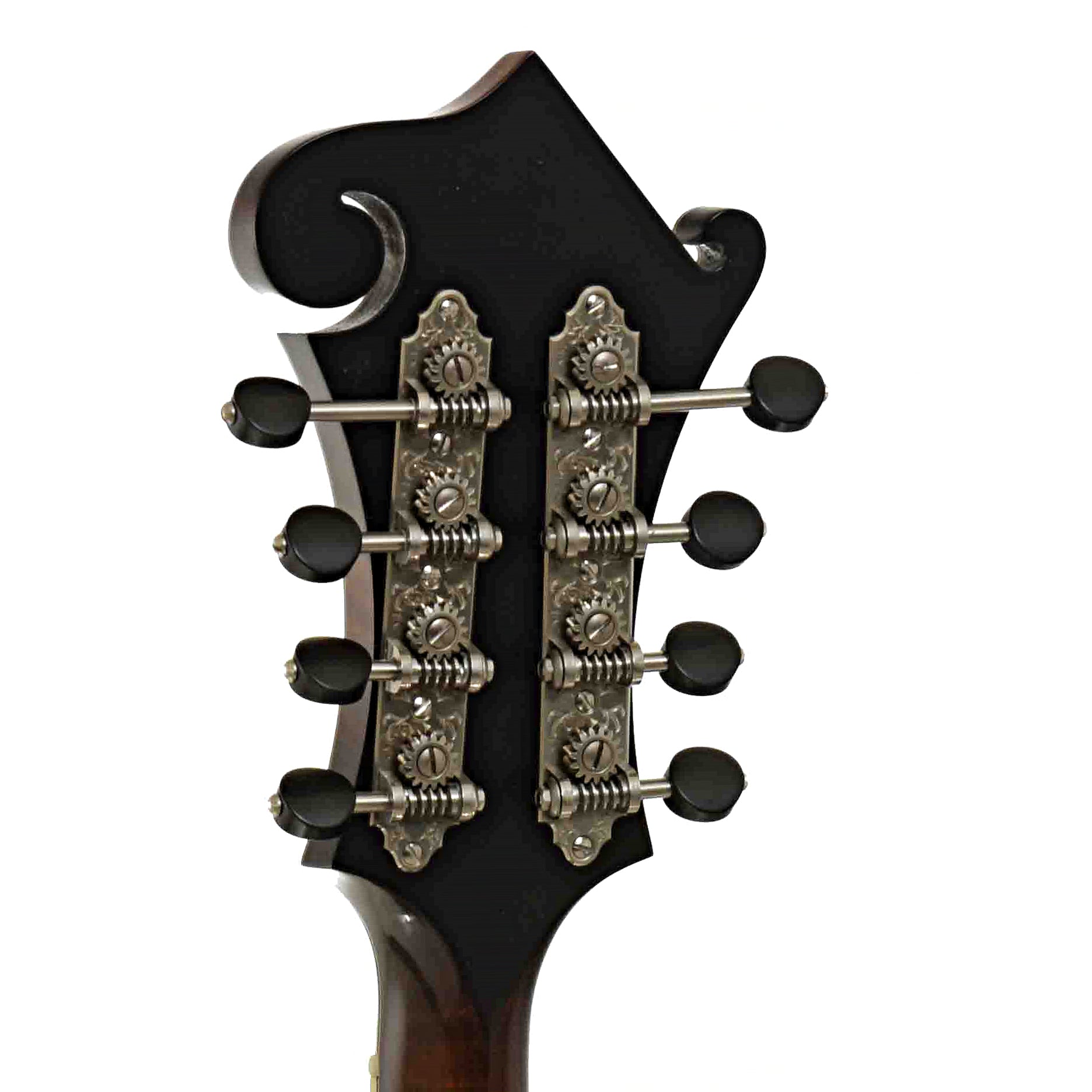 Tuners of Northfield Workshop NFB-F5E Master Model Big Mon Mandolin, Engelmann Top