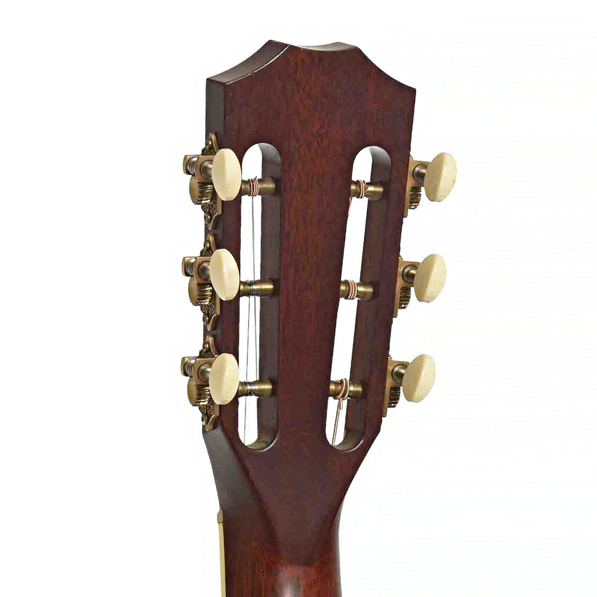 Tuners of Taylor GC5