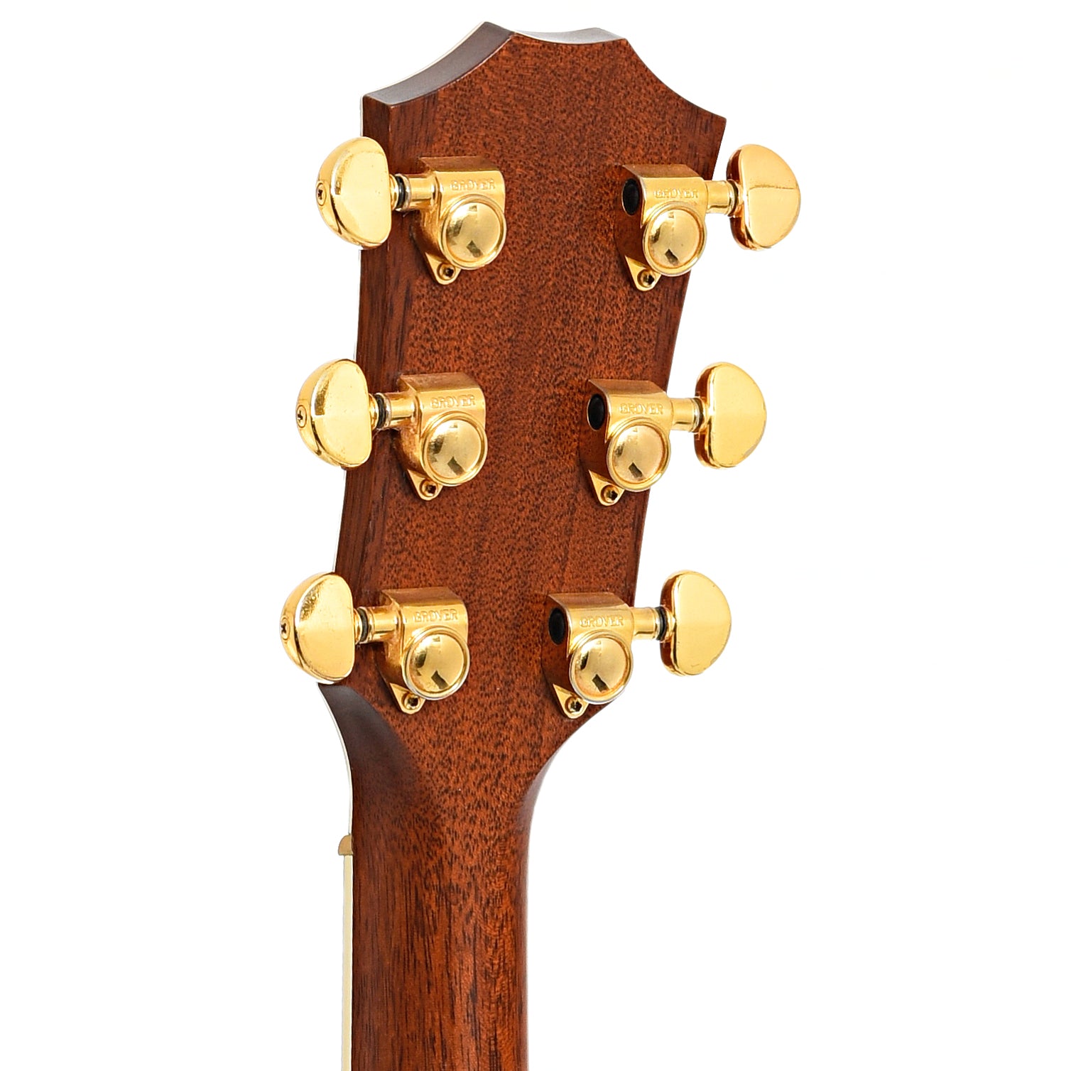 Back headstock of Taylor 815C Acoustic Guitar (1995)