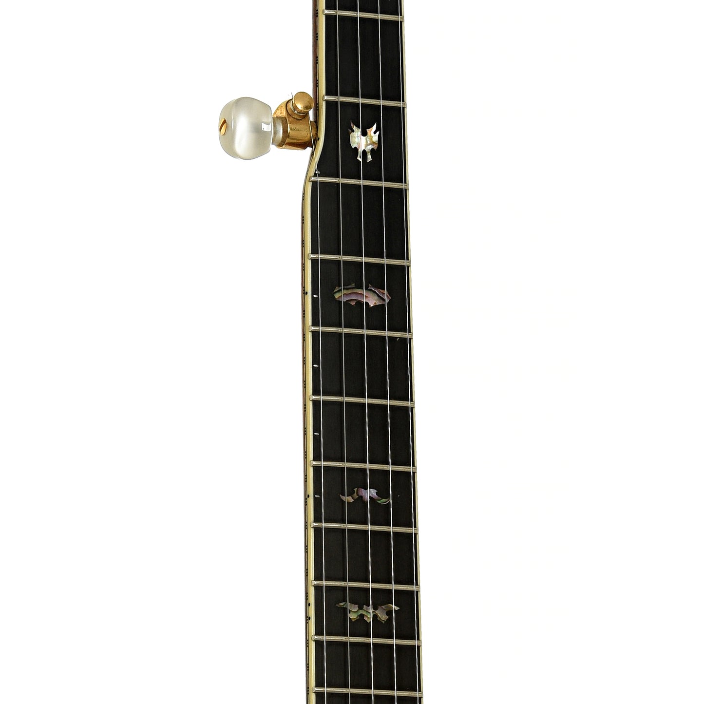 Fretboard of Prucha Bat Custom Resonator Banjo