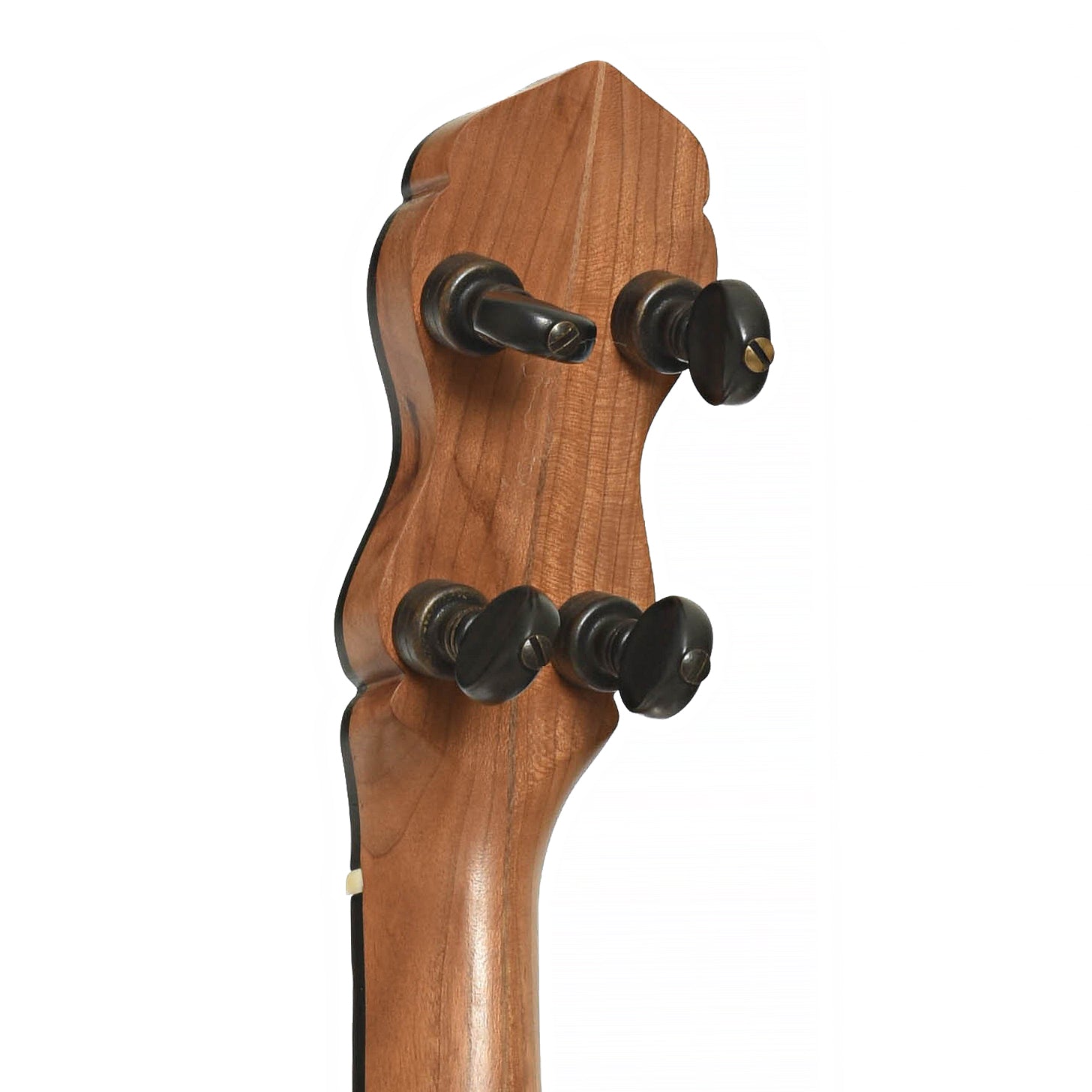 tuners of Pisgah Rambler Custom Openback Banjo