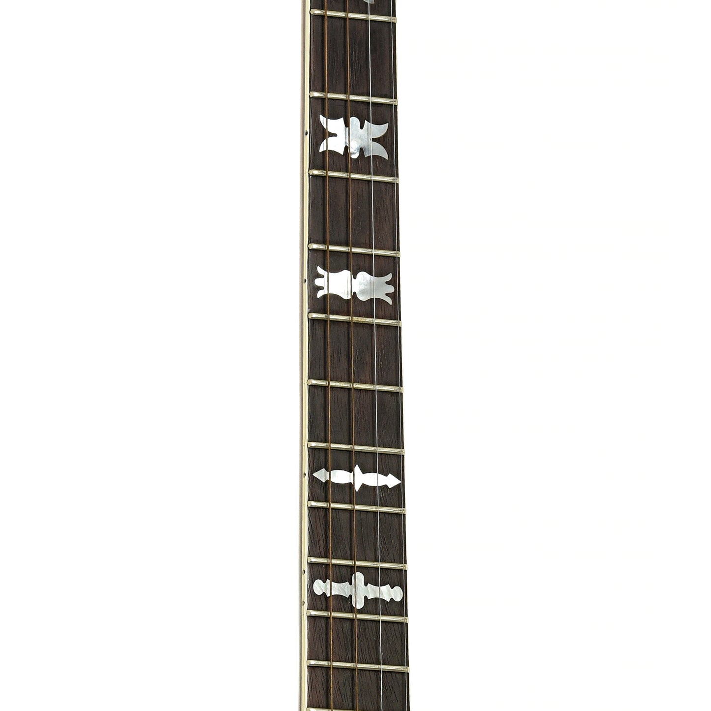 Fretboard of Fender Artist Tenor Banjo