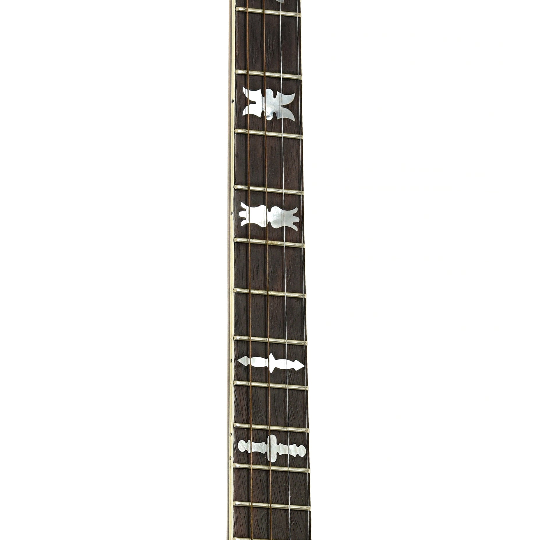 Fretboard of Fender Artist Tenor Banjo