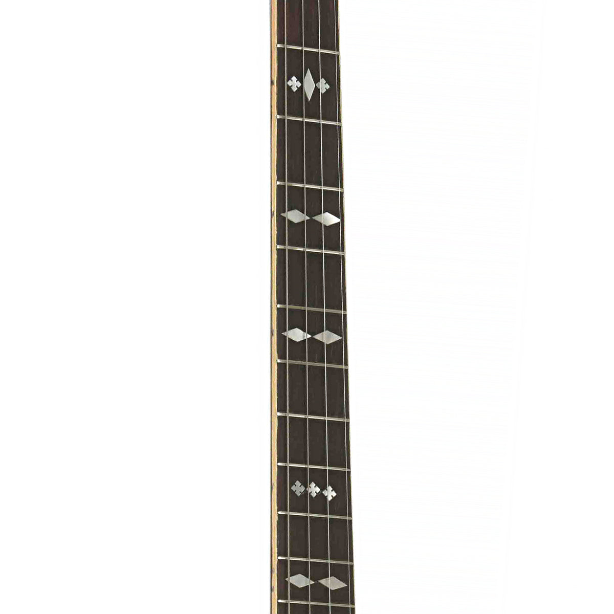 Fretboard of Gibson TB-3 Tenor Banjo