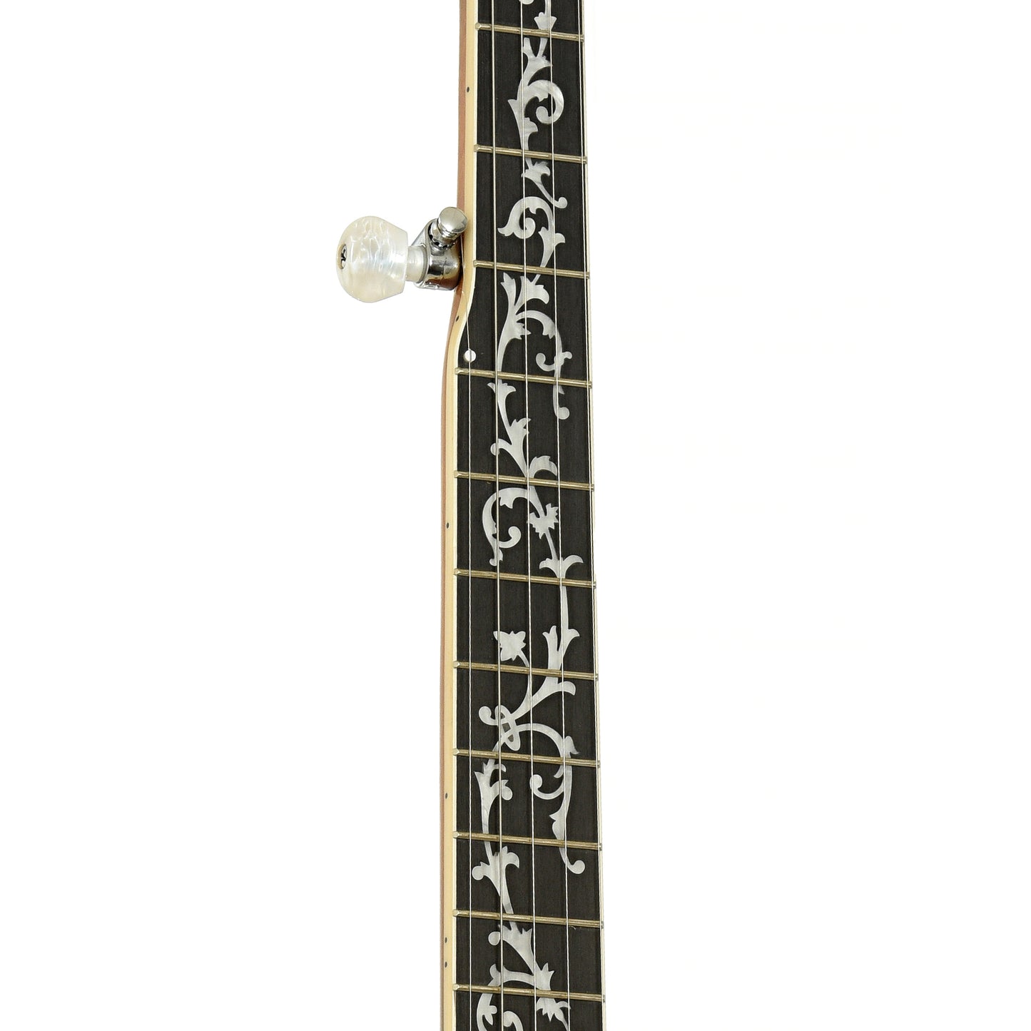 Fretboard of Ibanez B200 Resonator Banjo