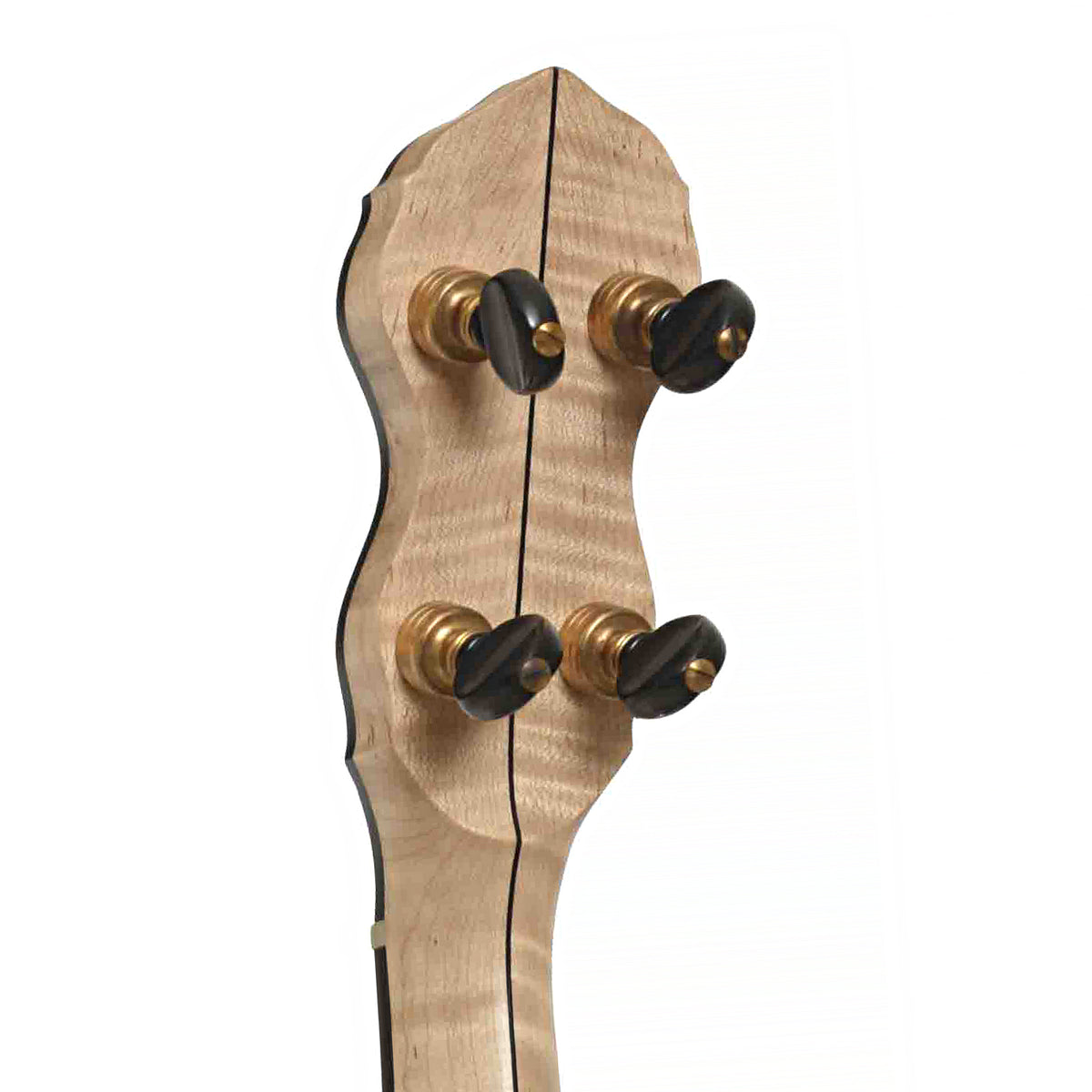 Pisgah Laydie 11in Short Scale Openback Banjo & Gigbag