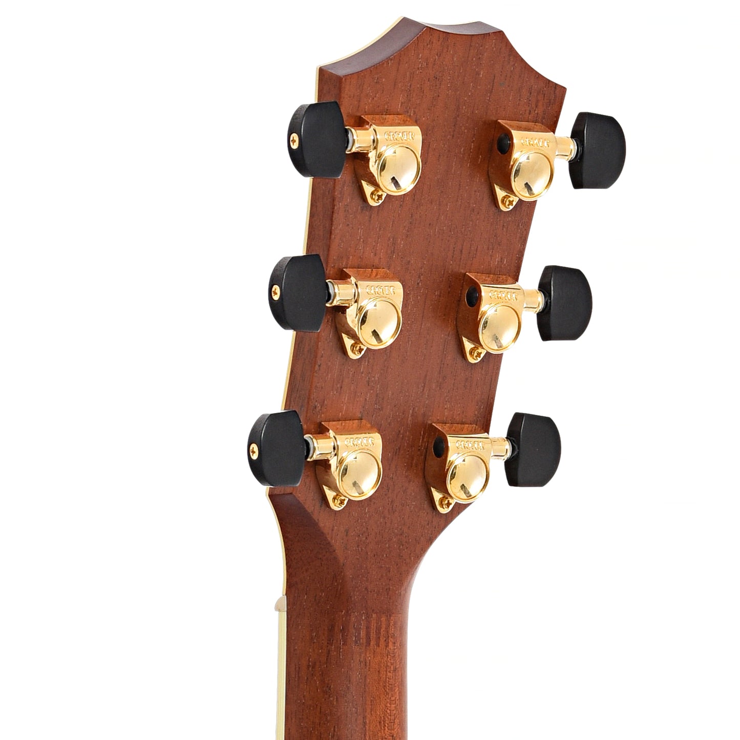 Back headstock of Taylor LTG Liberty Tree Acoustic Guitar (2002)
