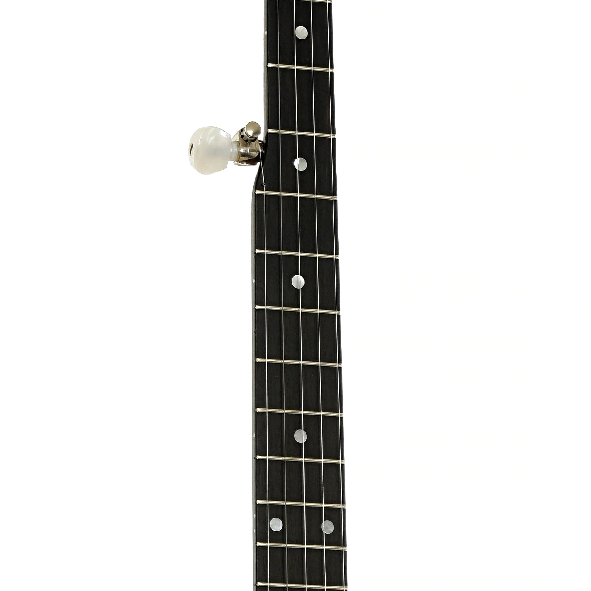 Fretboard of Deering Sierra Mahogany Resonator Banjo
