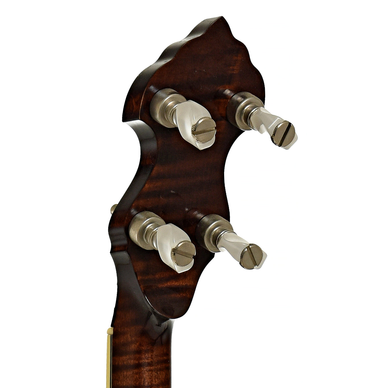 Tuners of Prucha Premium Griffon Open Back Banjo 