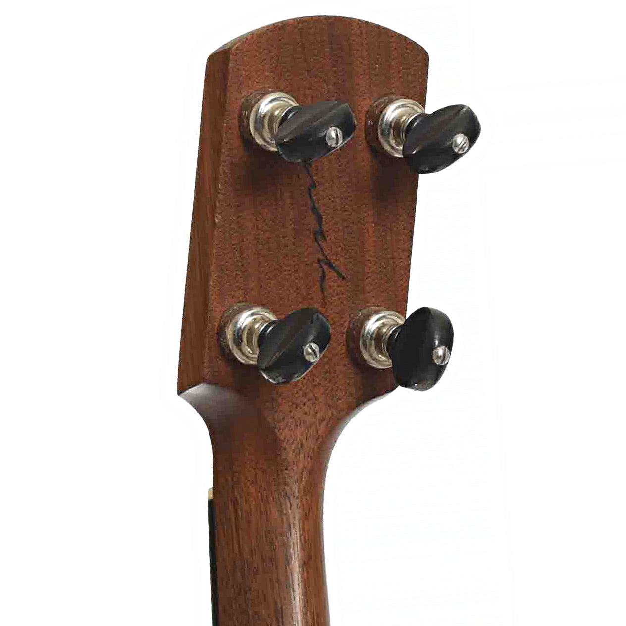 Tuners of Enoch Tradesman Fretless
