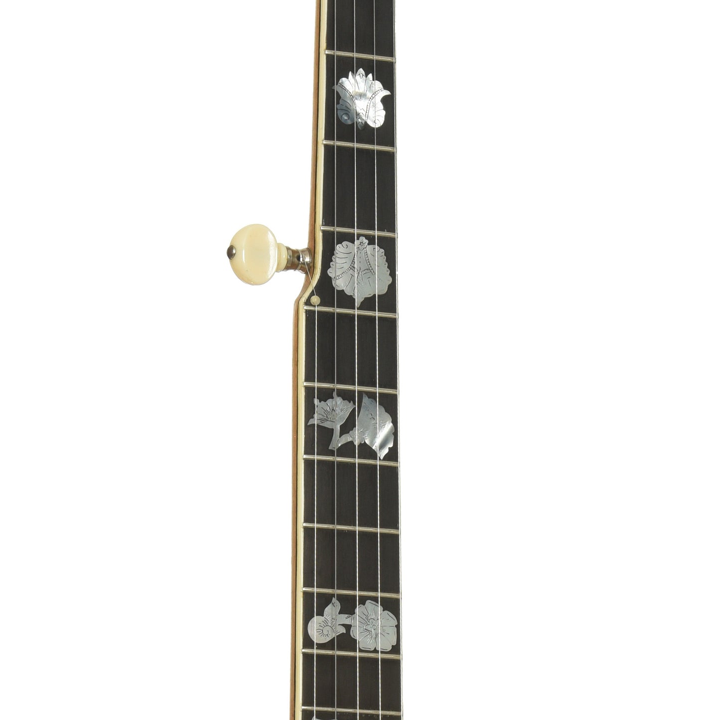 Fretboard of Vega Vegaphone Professional Conversion Openback Banjo