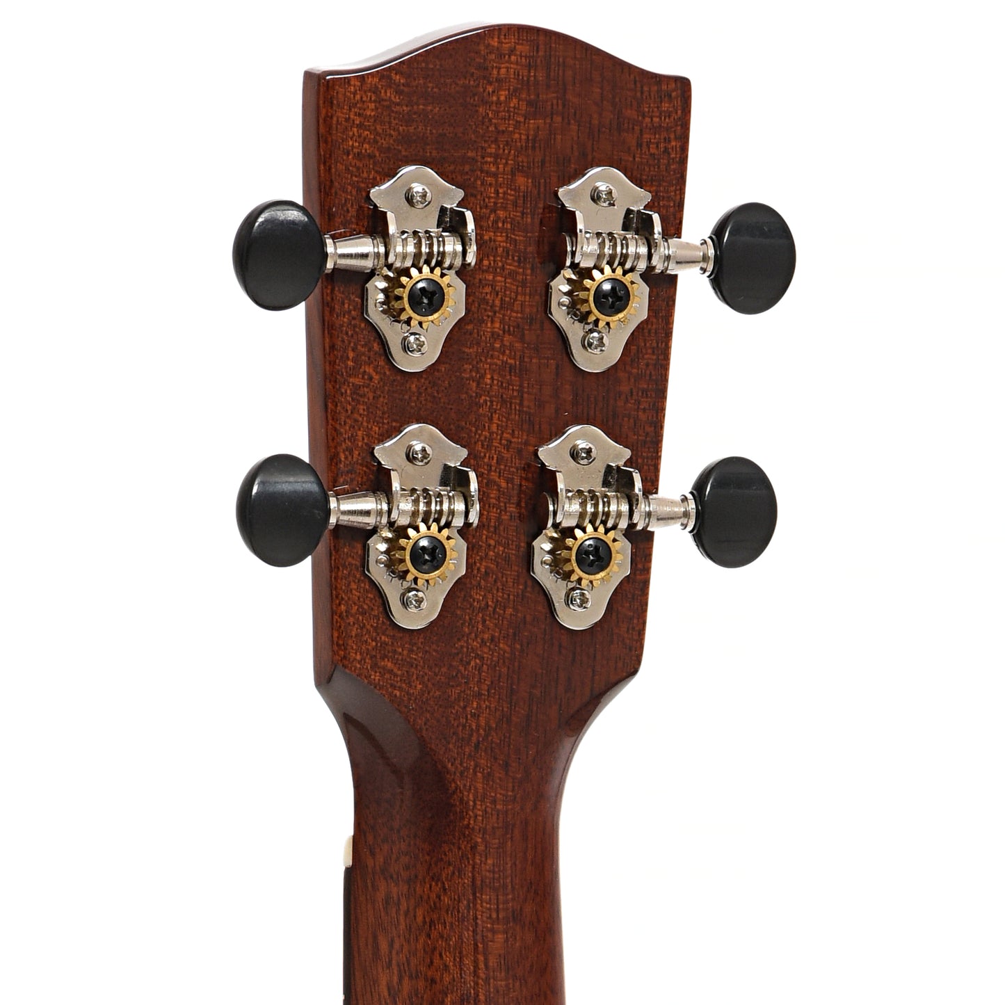 Back headstock of Eastman EU3C Concert Ukulele