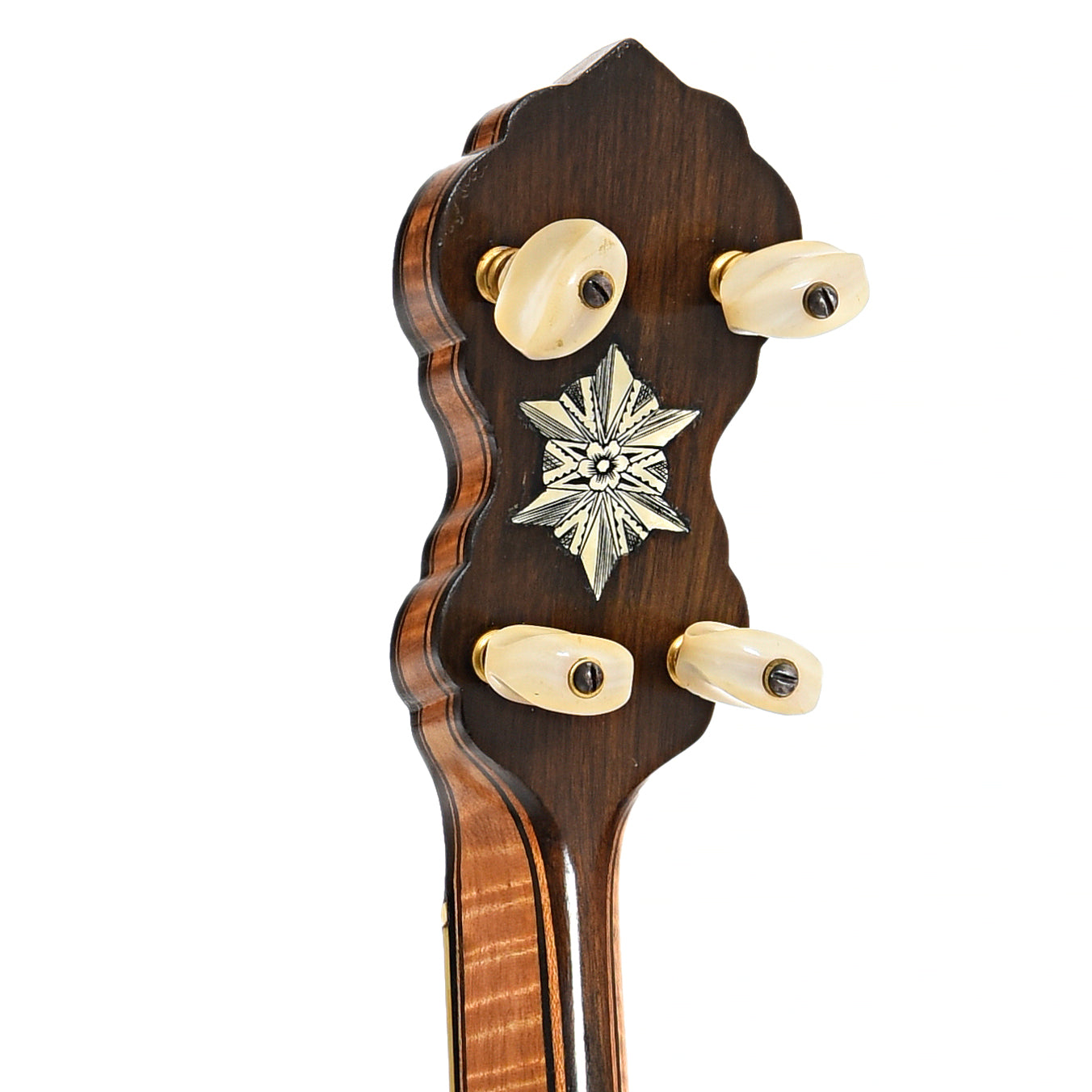 Back headstock of Vega Tubaphone No.9 Openback Banjo (1916)