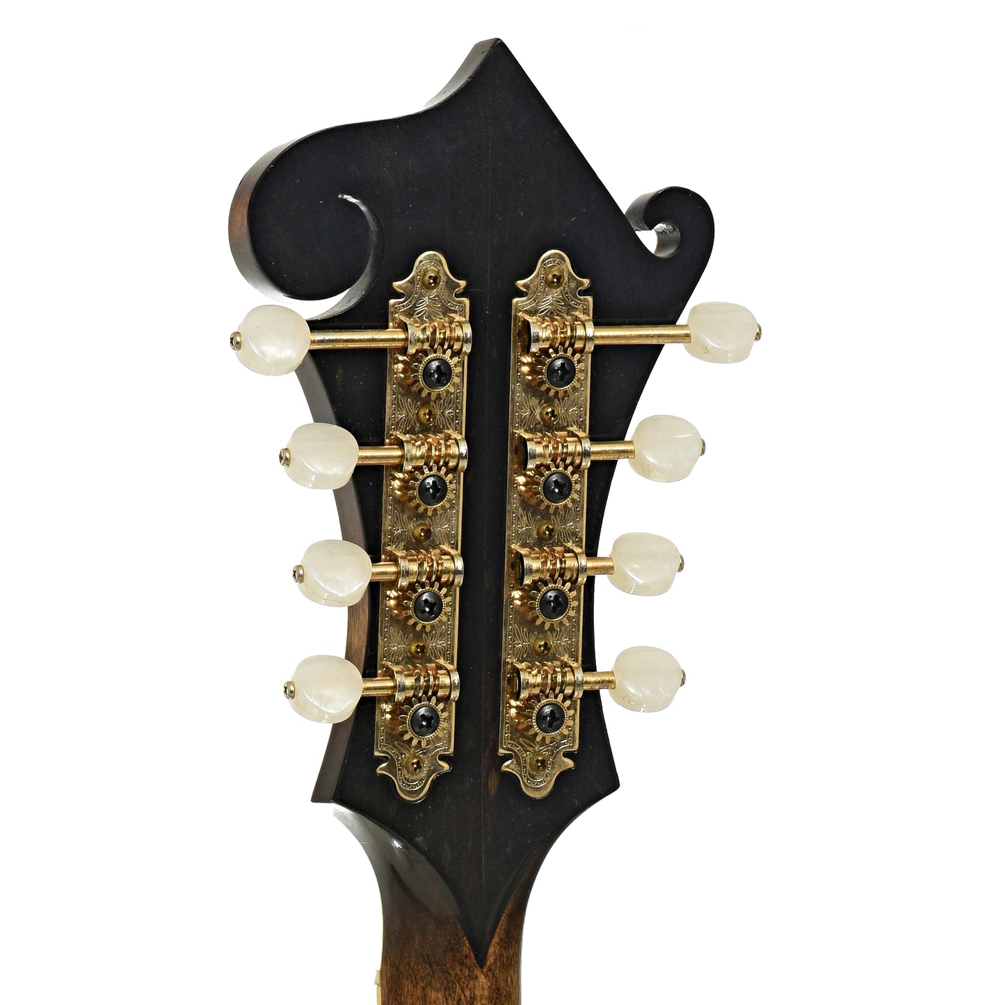 Tuners of Newson F-5 Fern Mandolin 