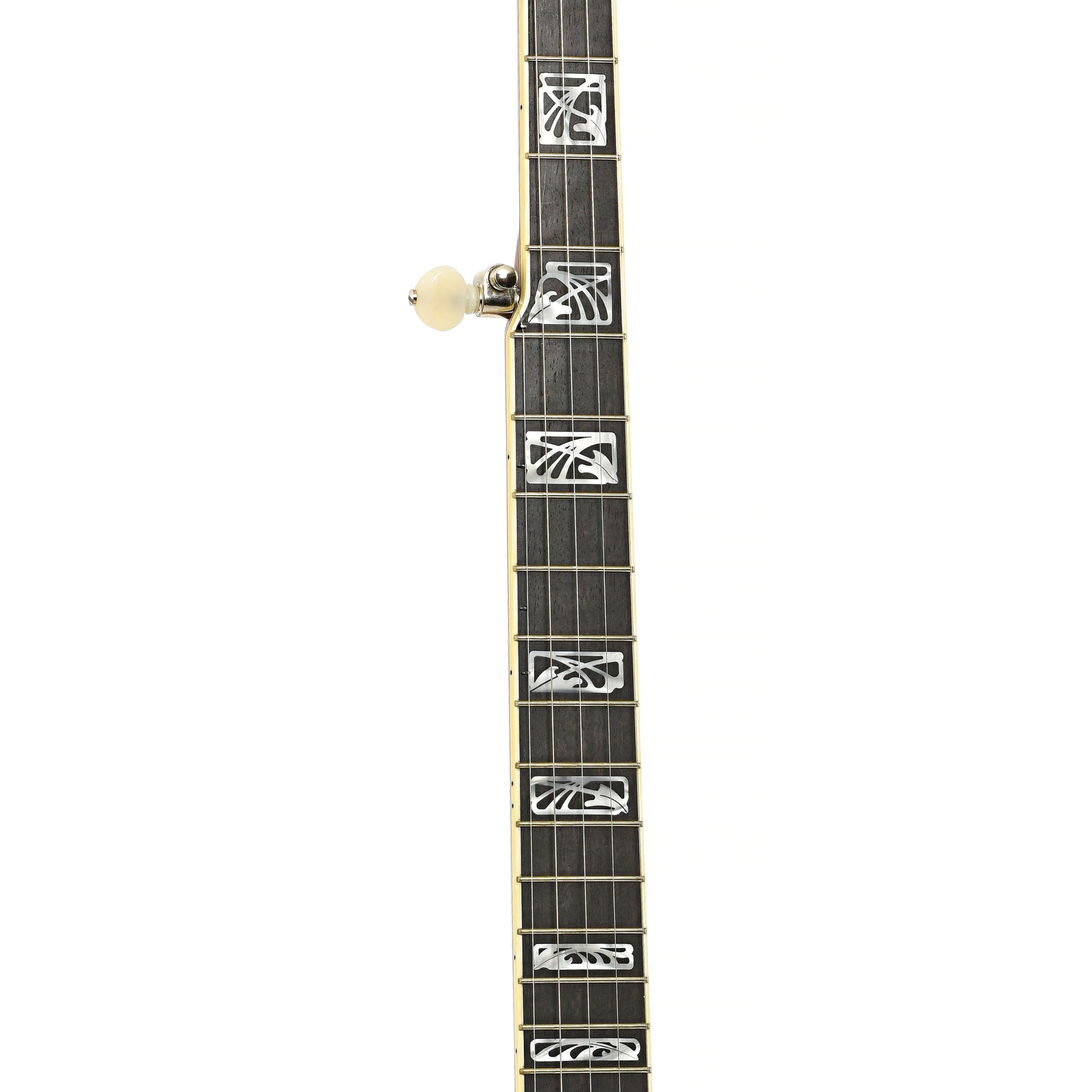 Fretboard of Deering Silver Clipper Banjo