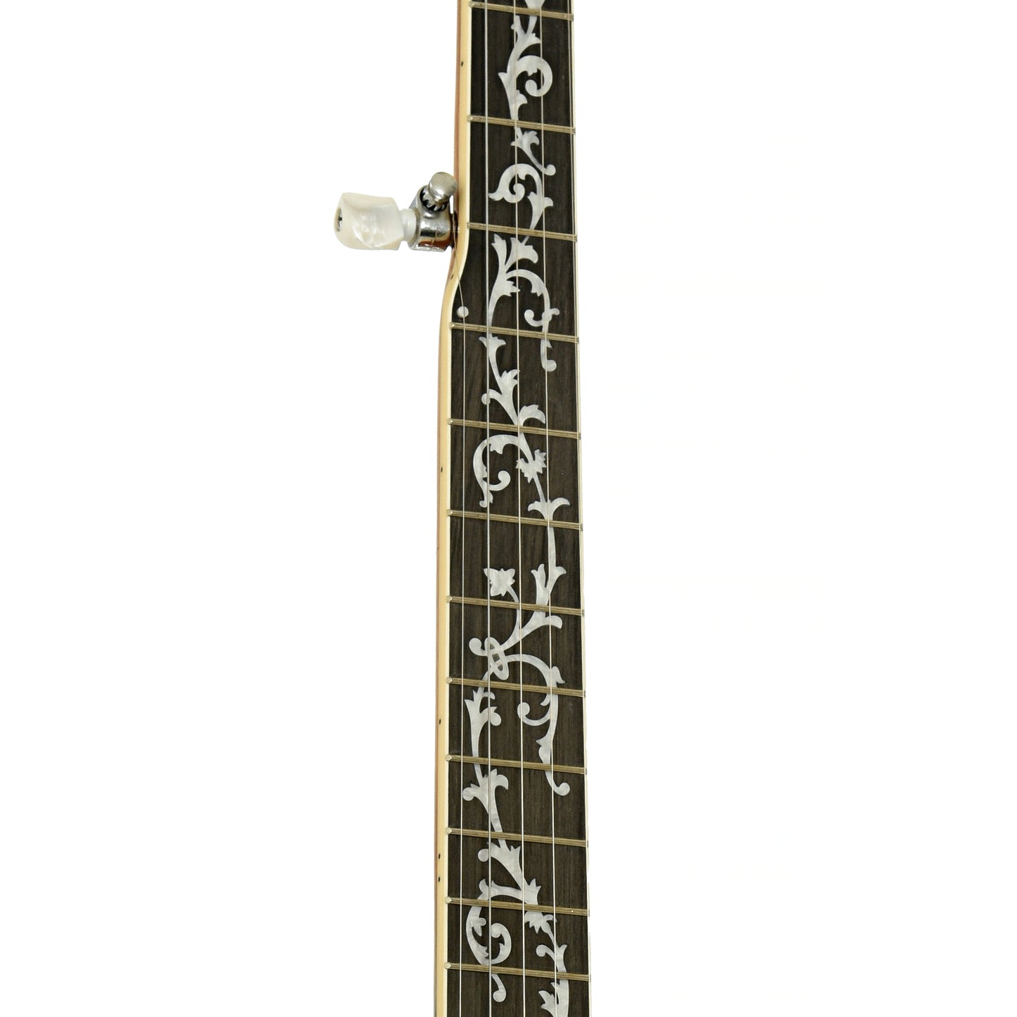 Fretboard of Ibanez B300 Resonator Banjo
