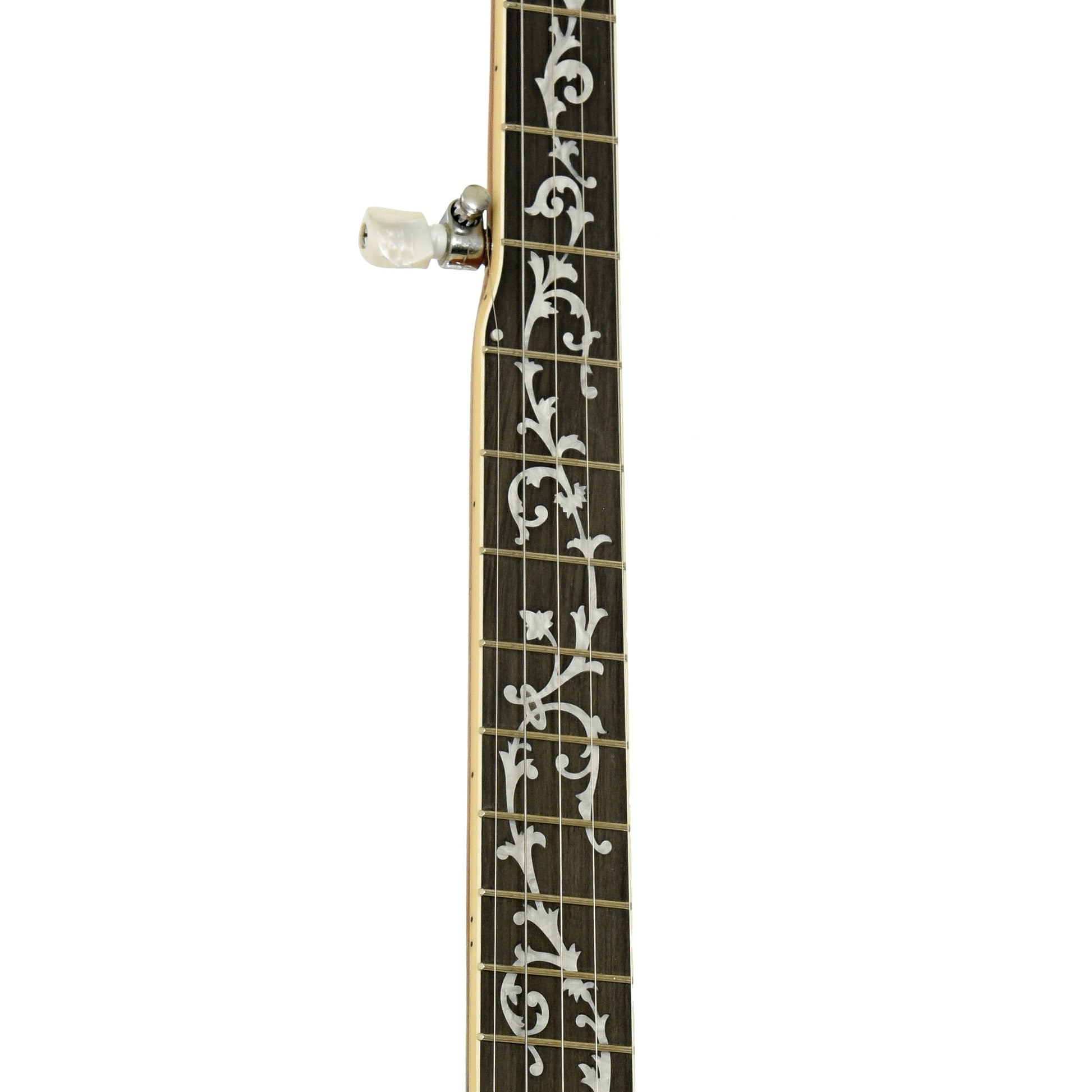 Fretboard of Ibanez B300 Resonator Banjo
