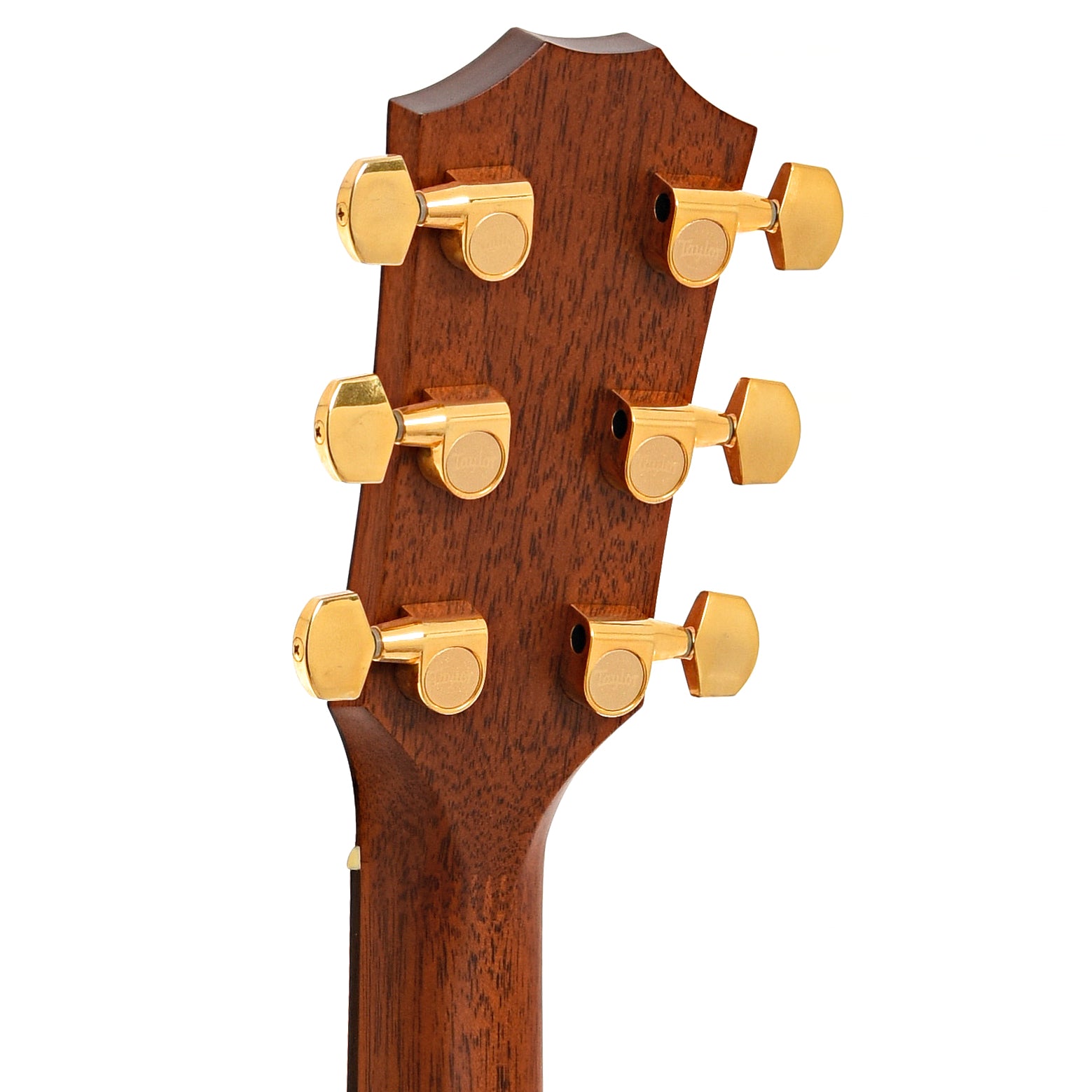 Back headstock of Taylor 710 Acoustic Guitar 