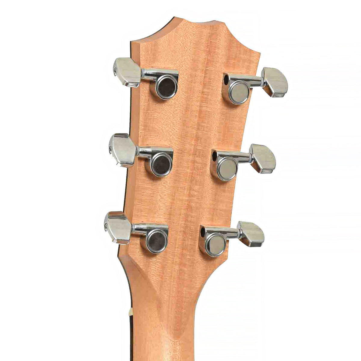 Taylor 114ce Acoustic-Electric Guitar & Gigbag, Headstock Back