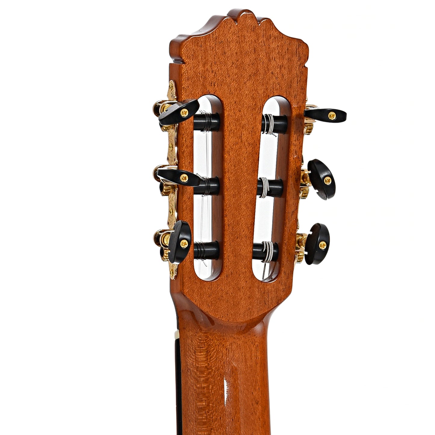 Back headstock of Cordoba C10 SP Classical Guitar 