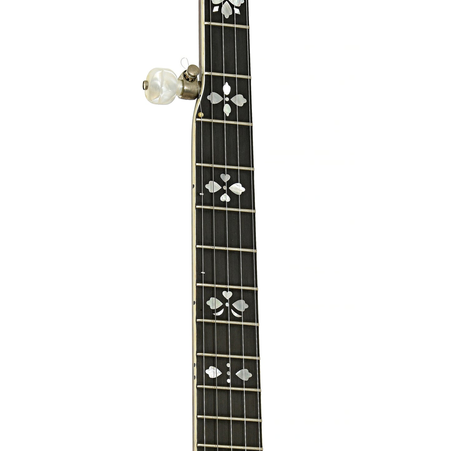 Fretboard of Gibson Earl Scruggs Standard Banjo 