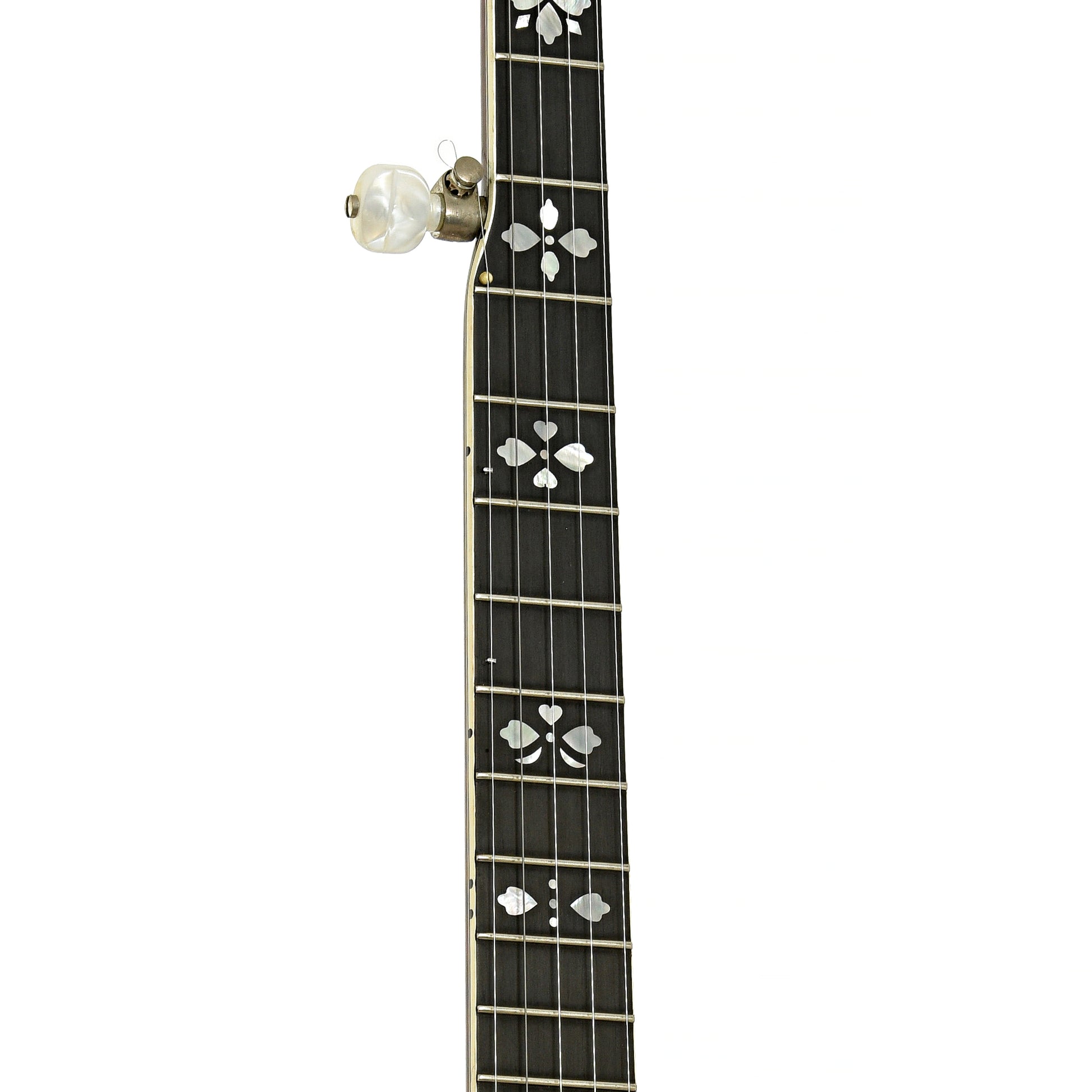 Fretboard of Gibson Earl Scruggs Standard Banjo 