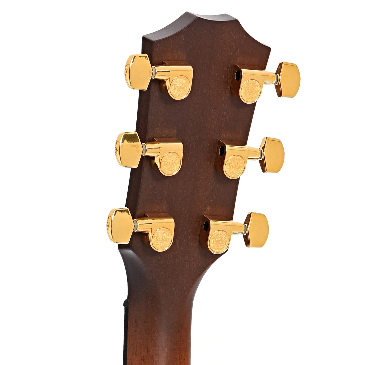 Back headstock of Taylor 50th Anniversary 314ce LTD Acoustic Guitar