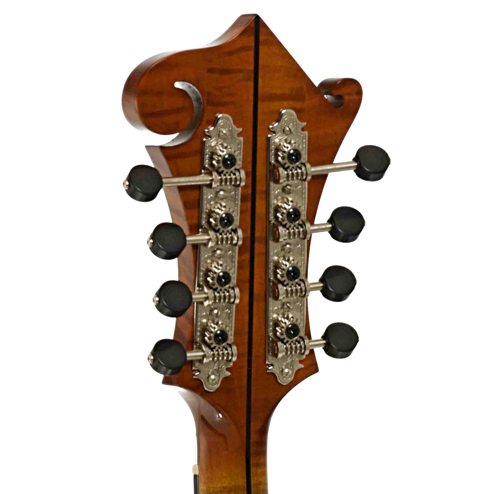 Tuners of Northfield Workshop Artist Series F5 Mandolin, Variation 1 Italian Spruce, with Case` 
