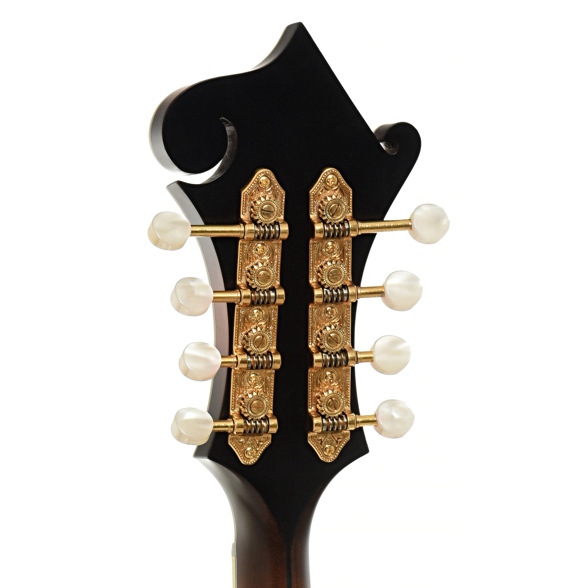 Tuners of Nugget F Mandolin 