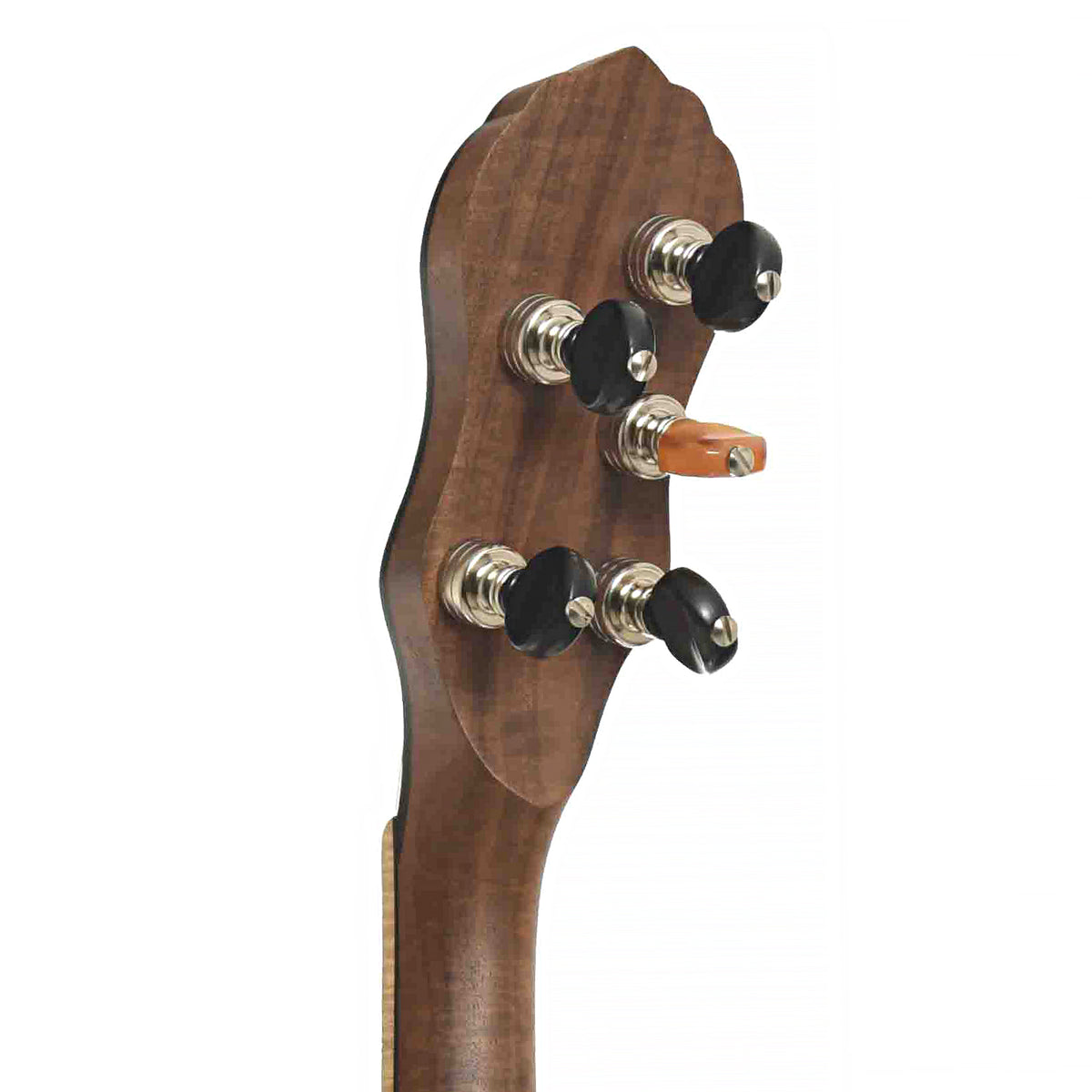 Vance iOTA 11 in. Clairo Walnut Openback Banjo (2024)