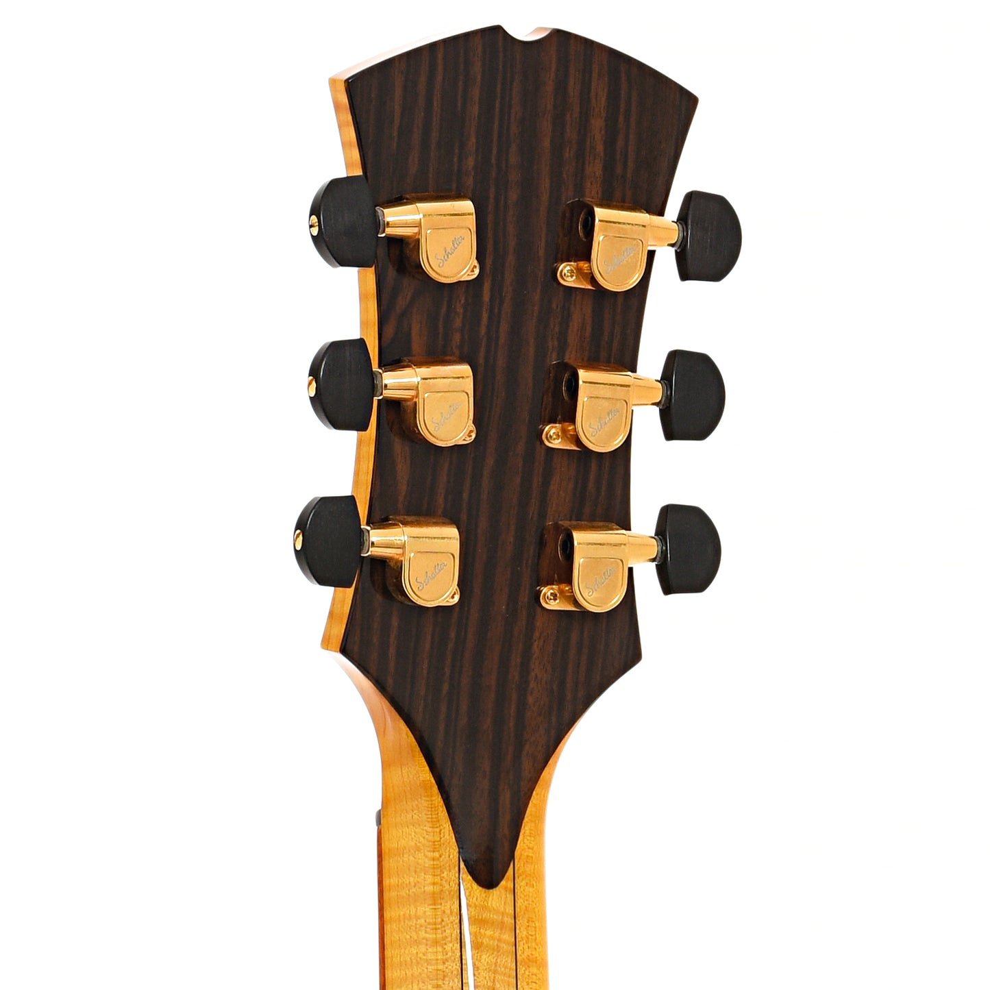 Back headstock of Megas Apollo Archtop Guitar
