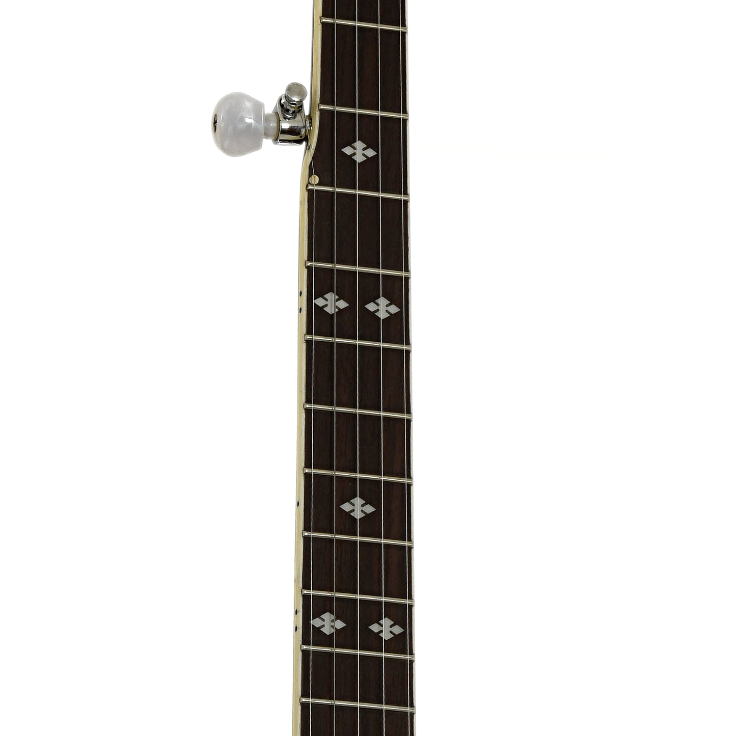 Fretboard of Gold Tone BG-250F Orange Blossom Resonator Banjo