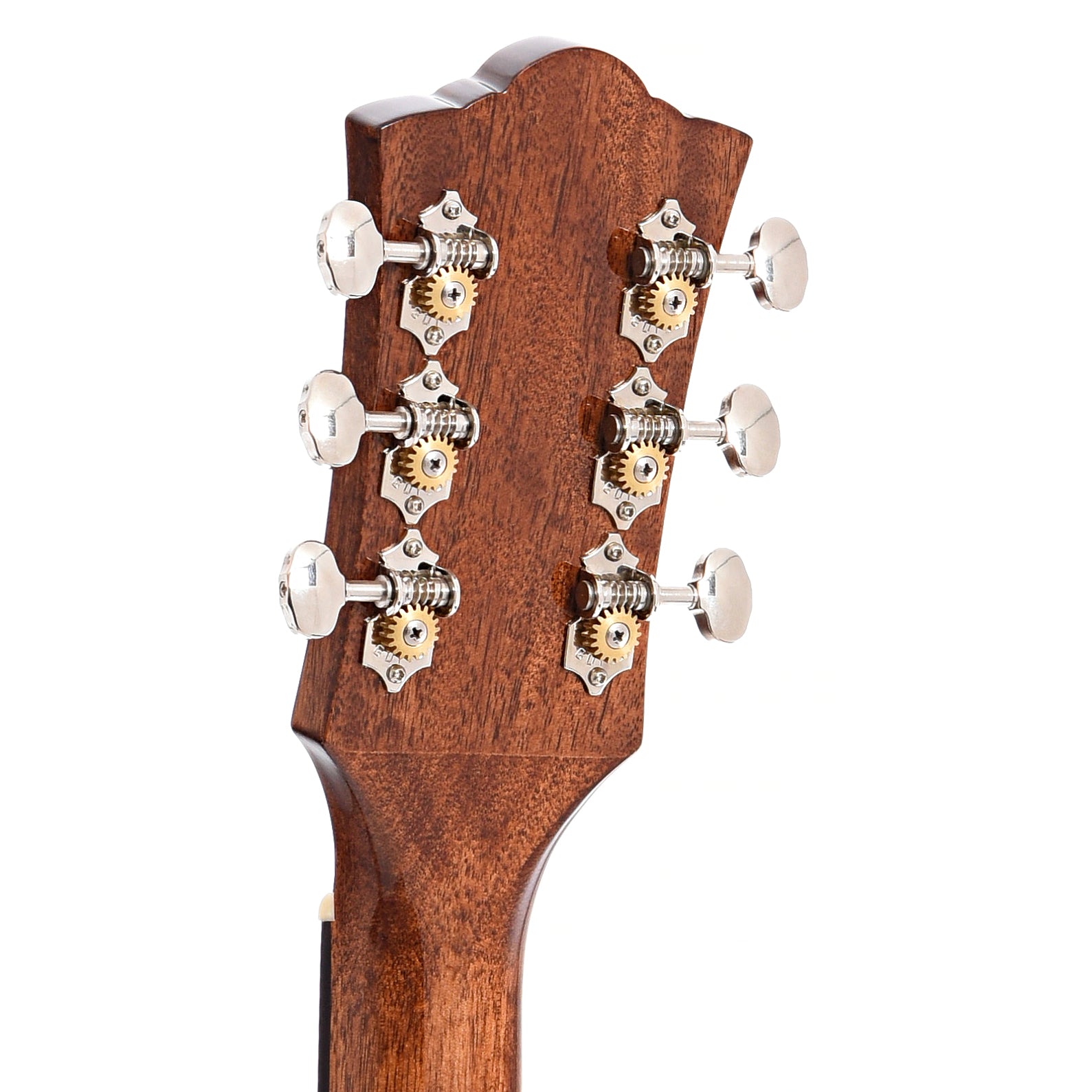 Back headstock of Guild M-120 Acoustic Guitar (2021)