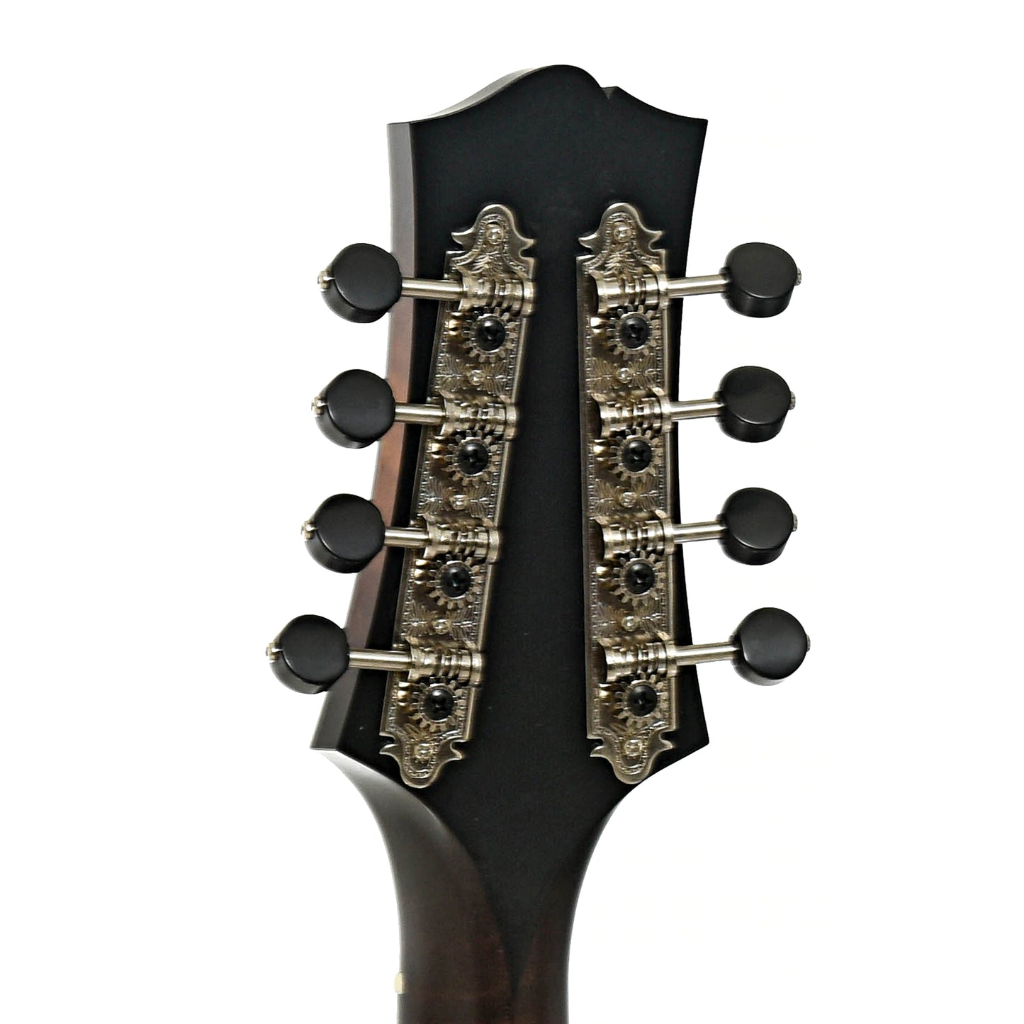 Tuners of Collings MT Mandola