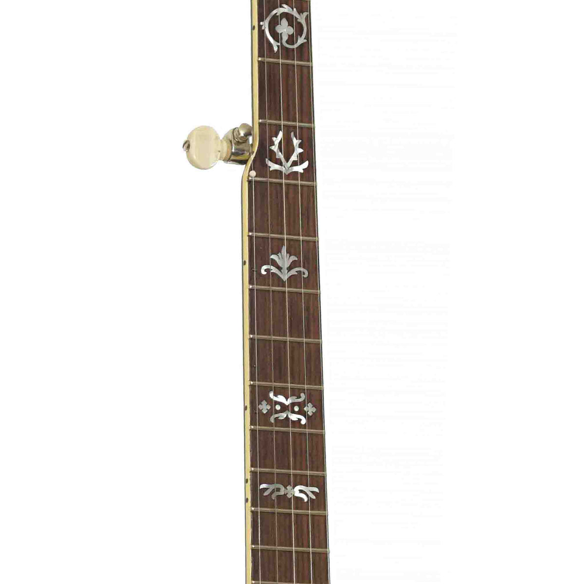 Fretboard of Gibson TB-3 Conversion Resonator Banjo