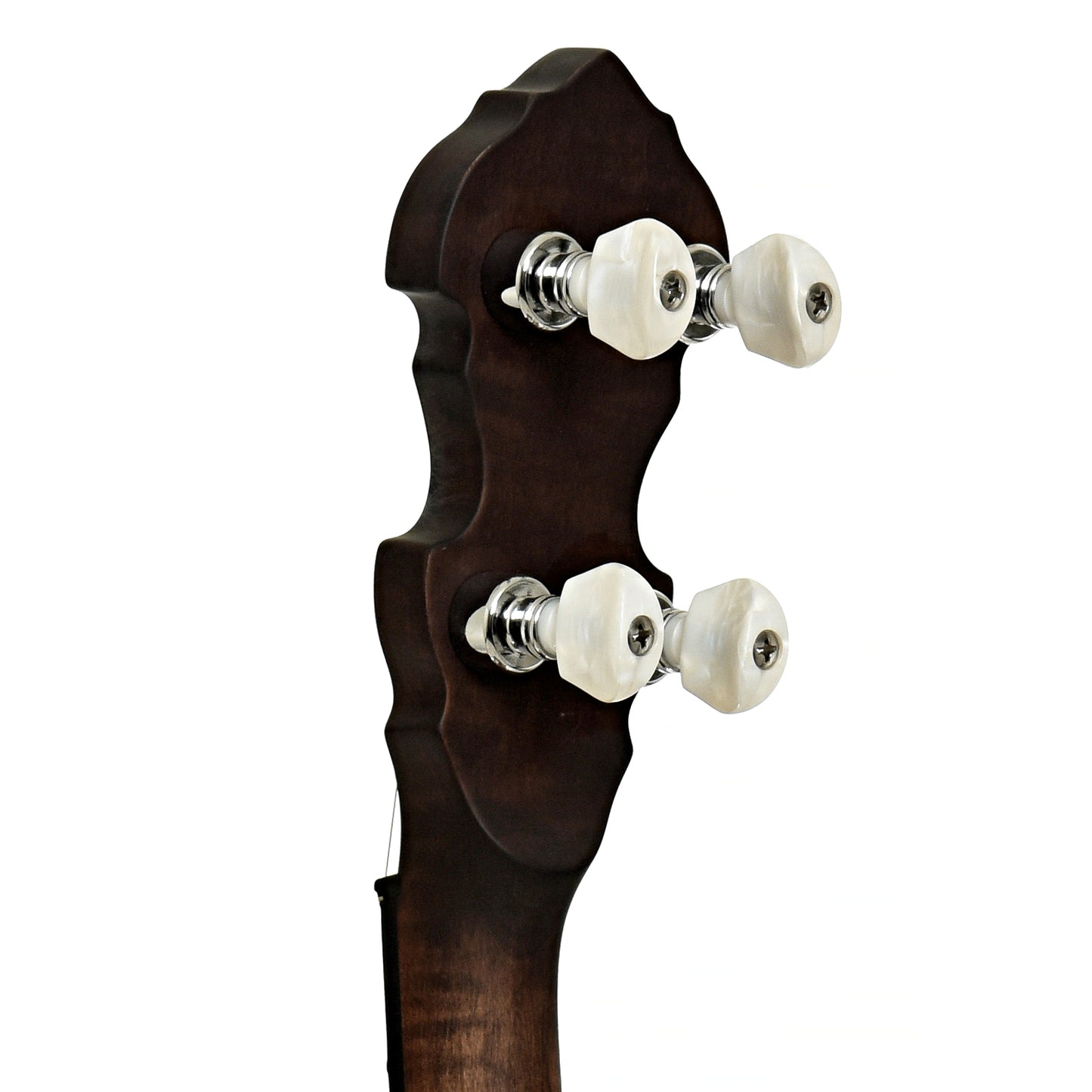 Tuners of Gold Tone Irish Tenor Banjo 