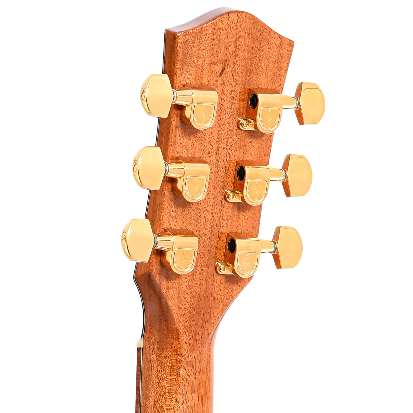 Back headstock of McPherson MG-4.5XP Acoustic Guitar