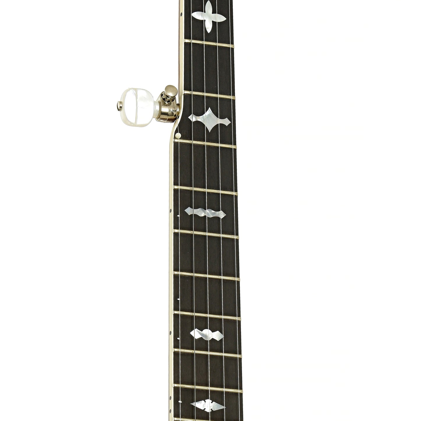 Fretboard of Gibson RB-250 Resonator Banjo