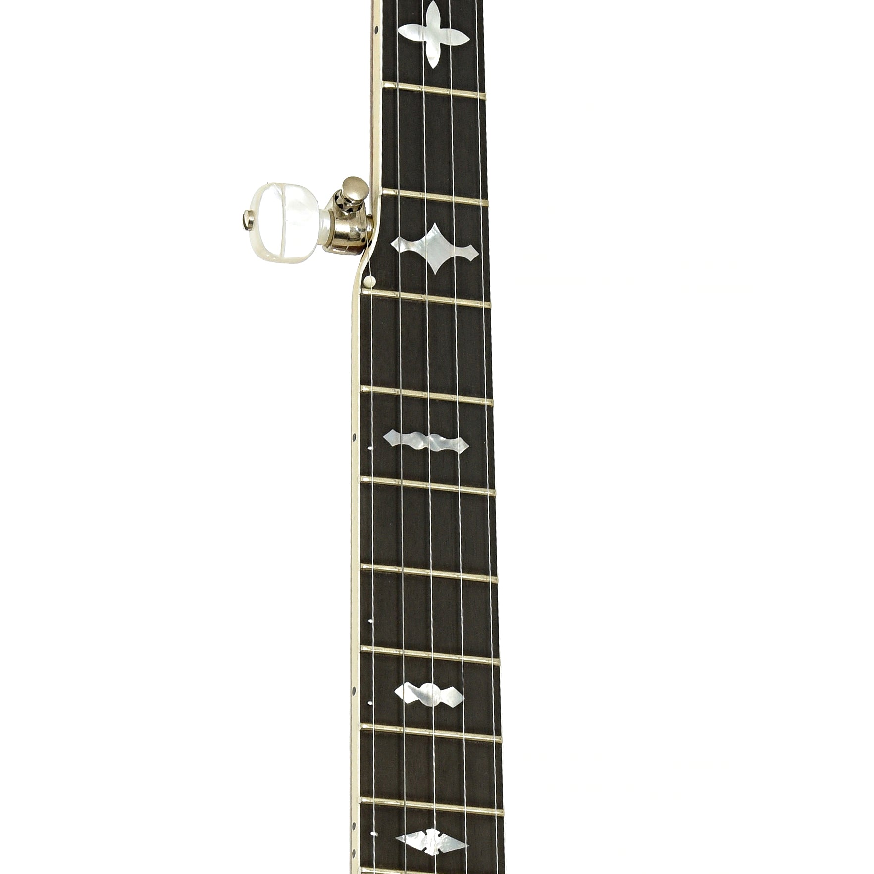 Fretboard of Gibson RB-250 Resonator Banjo