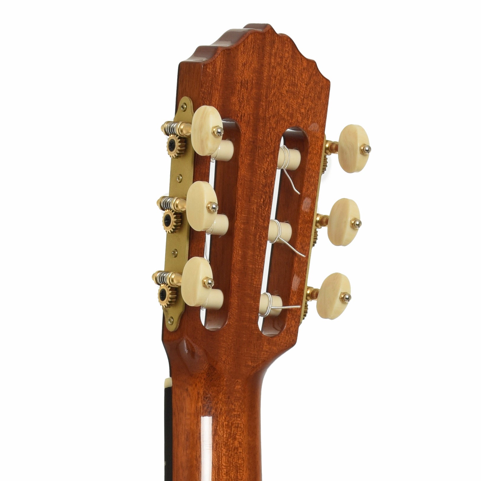 Tuners of Cordoba Esteso SP Classical Acoustic Guitar