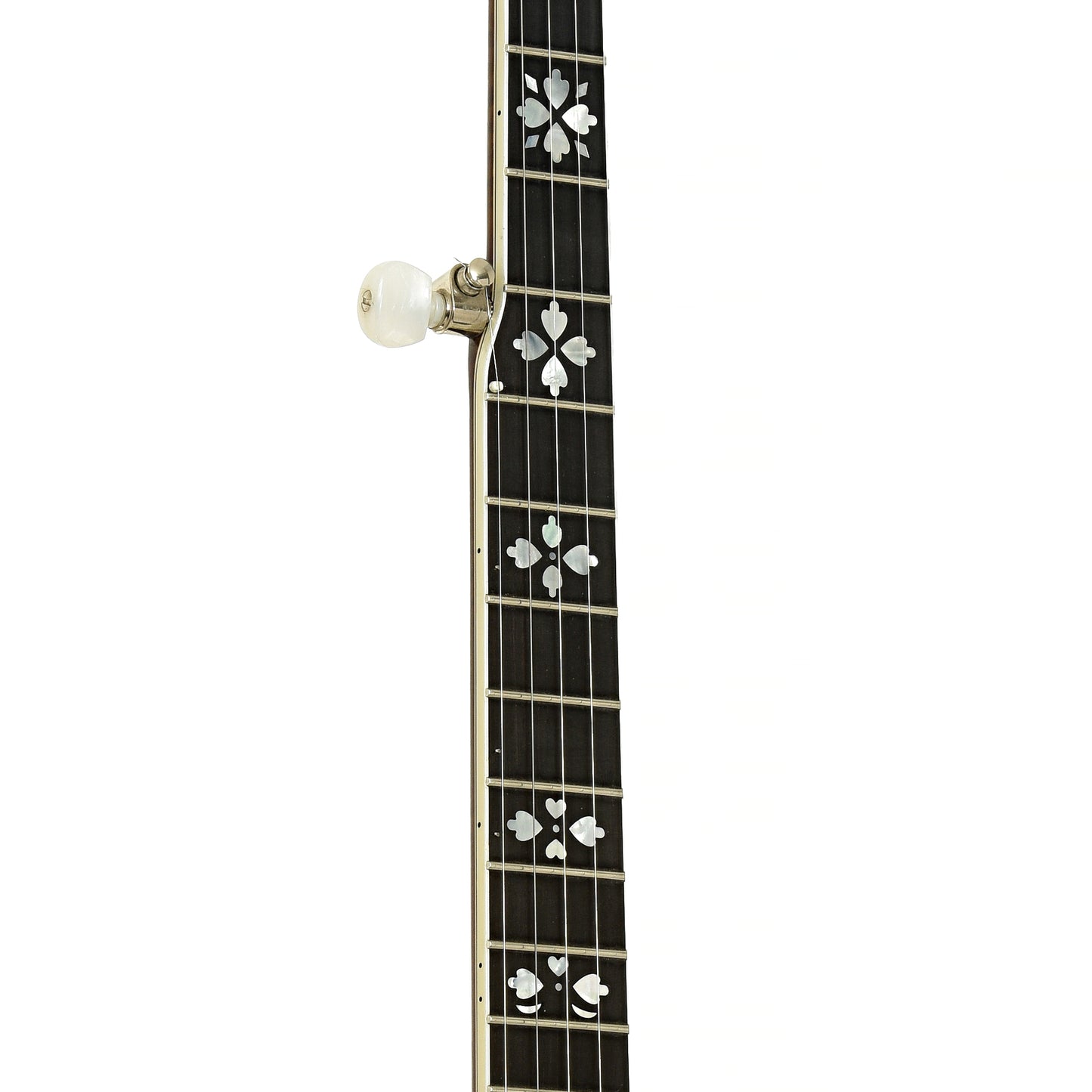 Fretboard of Deering Golden Era Resonator Banjo