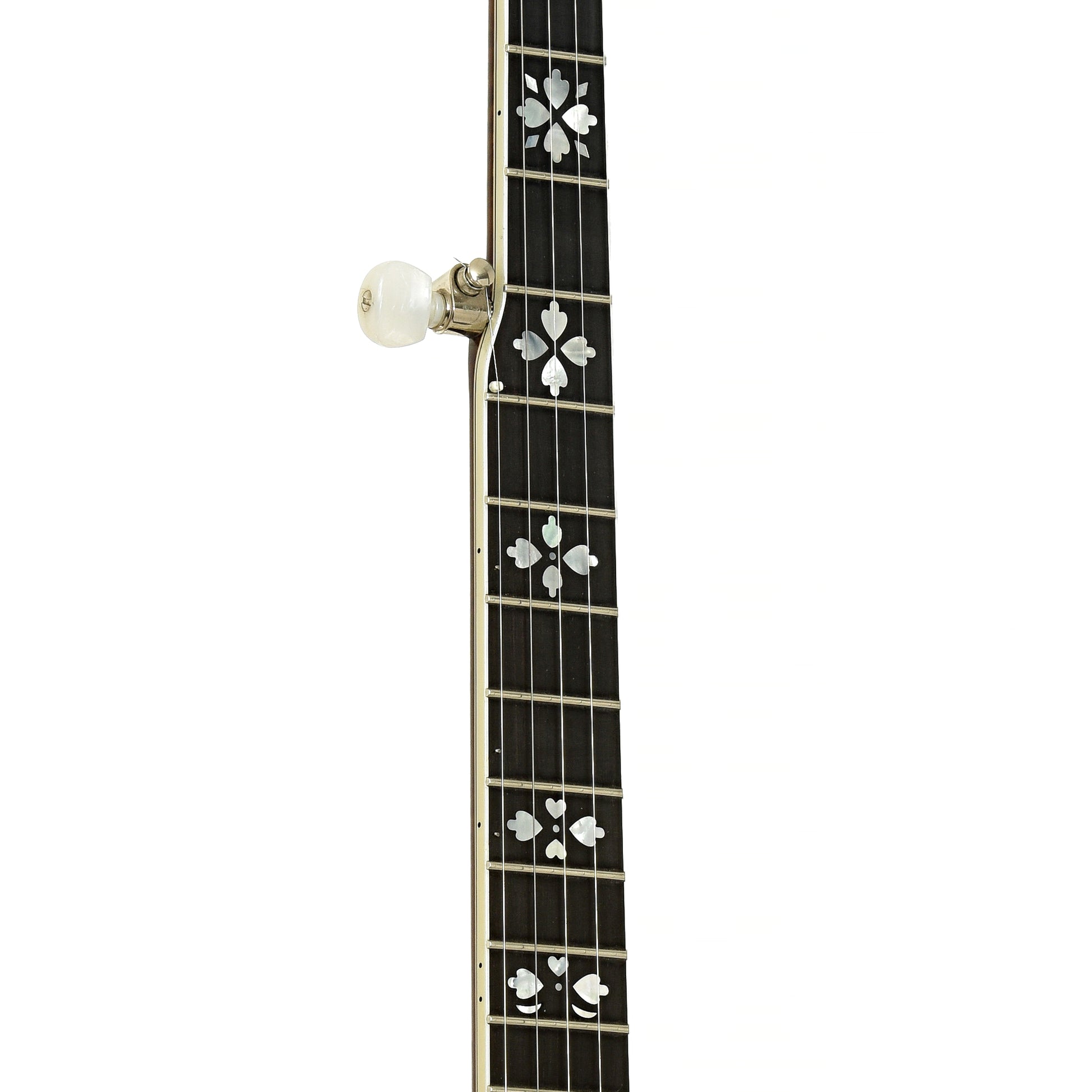 Fretboard of Deering Golden Era Resonator Banjo