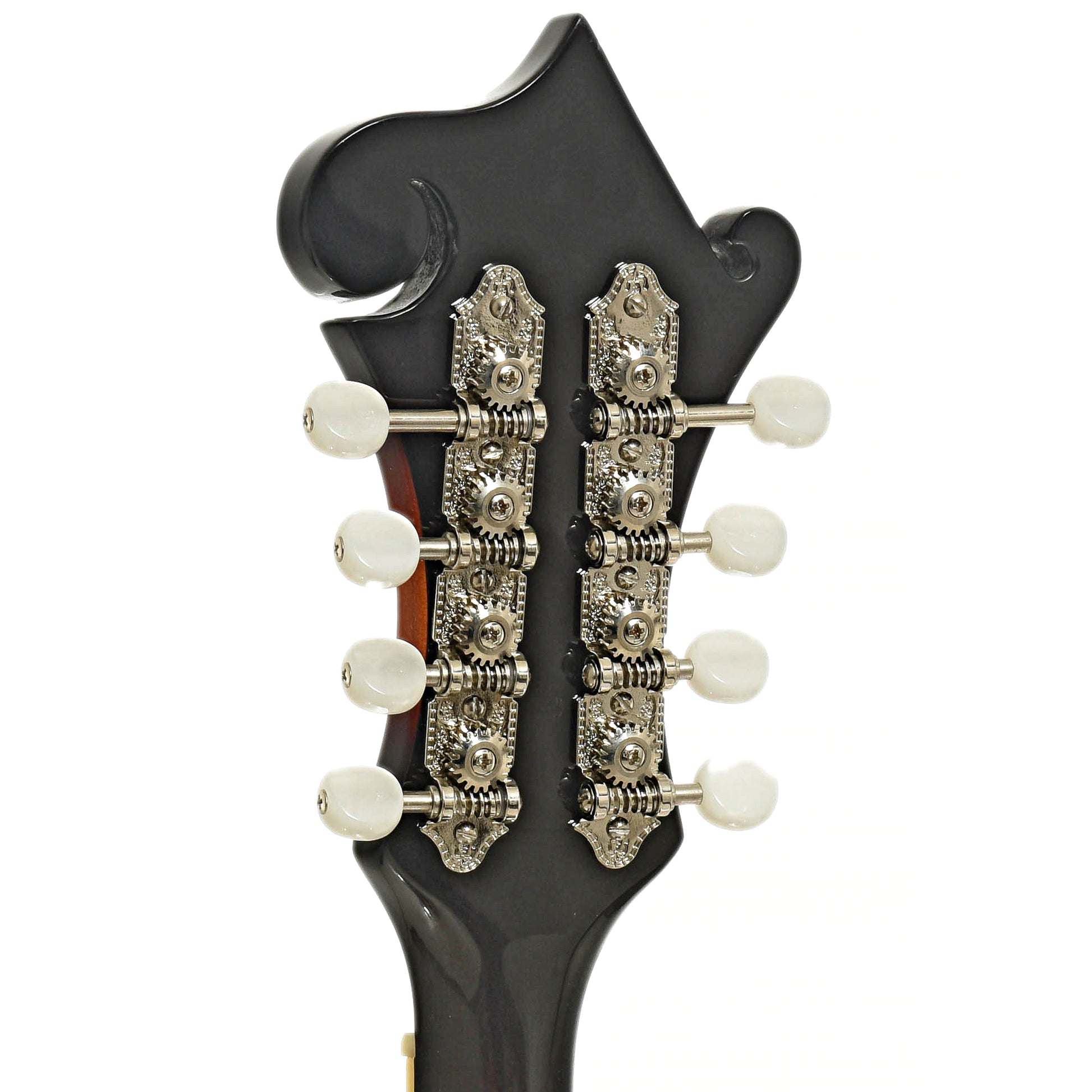 Tuners of Loar LM-520-VS Performer F-Style Mandolin