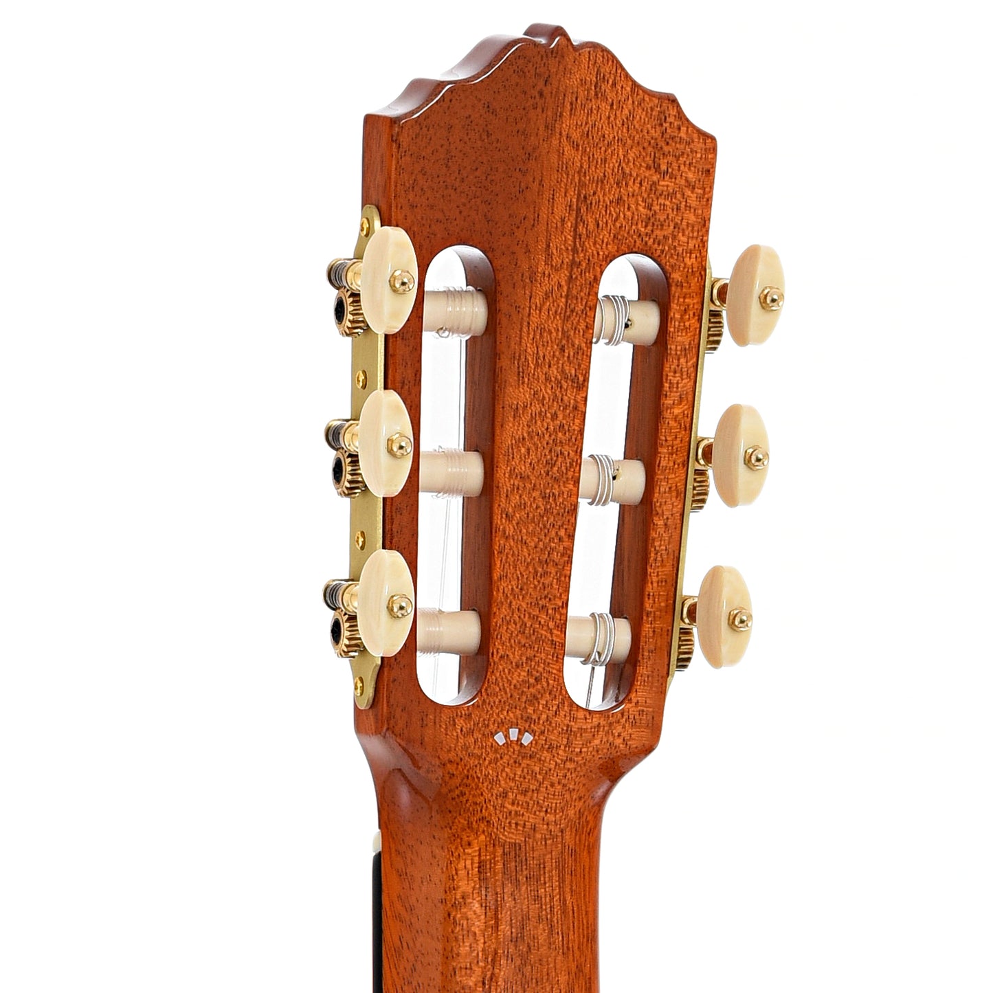 Back headstock of Cordoba Luthier Select Esteso Classical Guitar (2022)